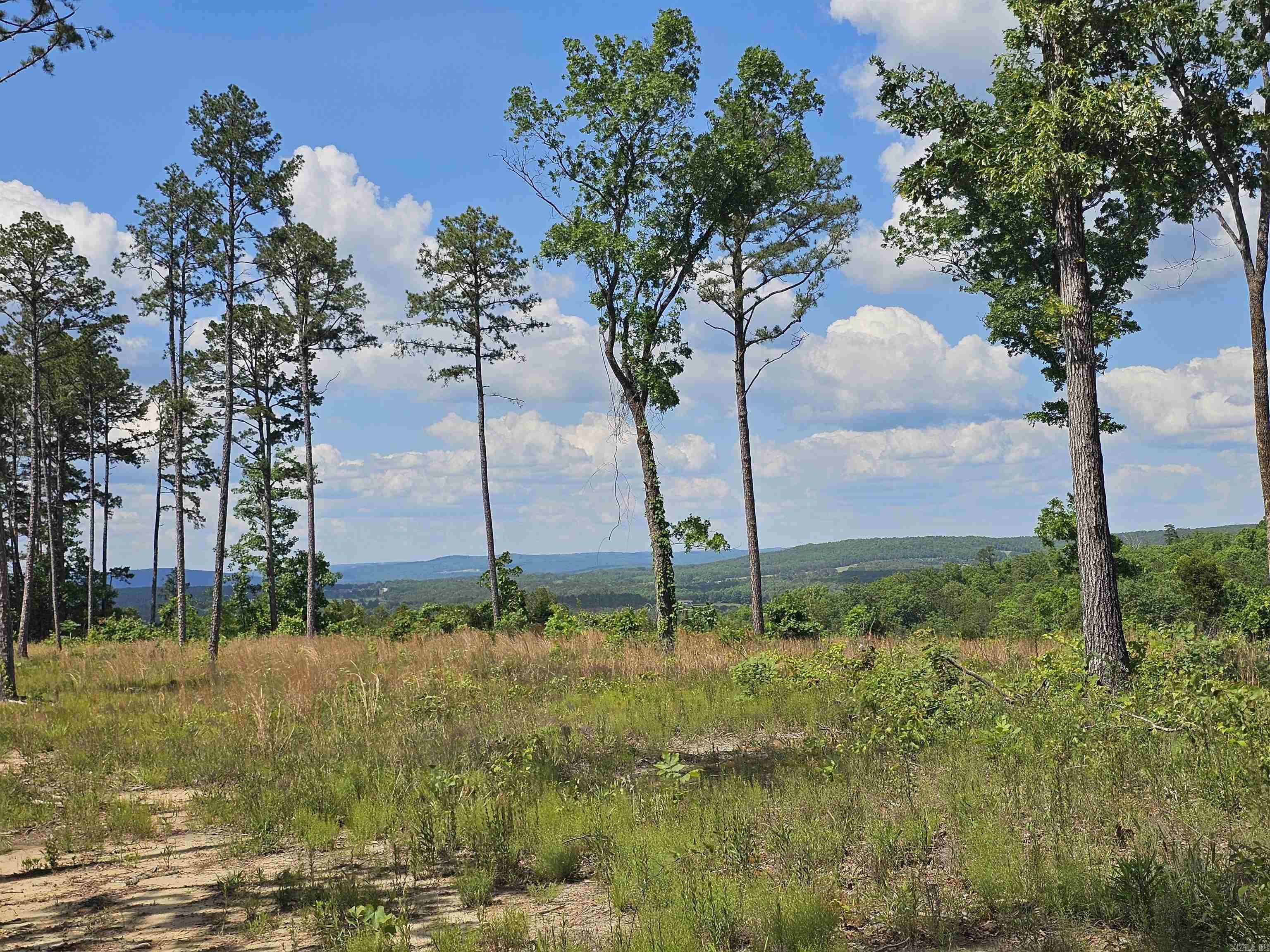 0  Newton Rd  Clinton, AR
