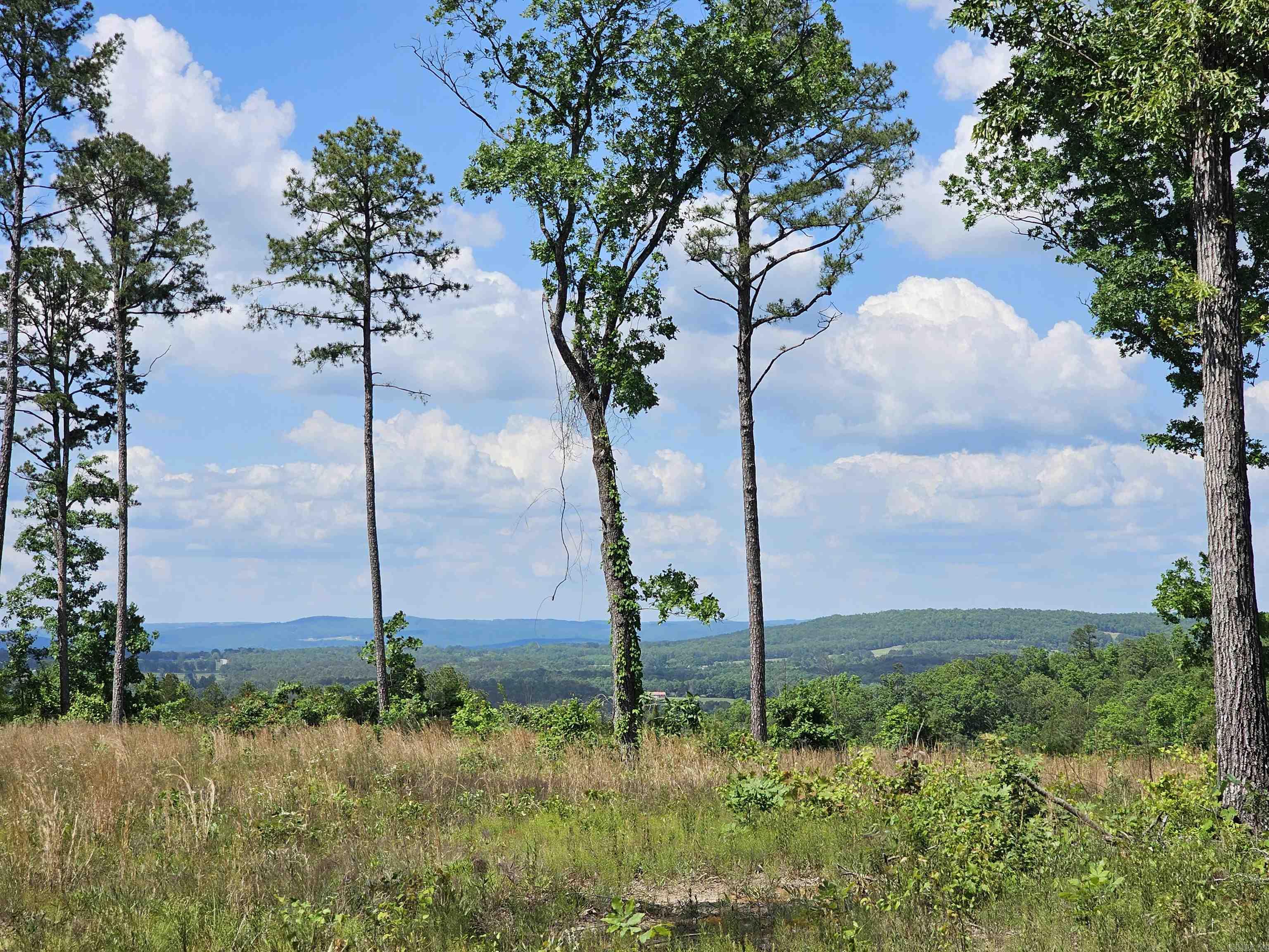 0  Newton Rd  Clinton, AR