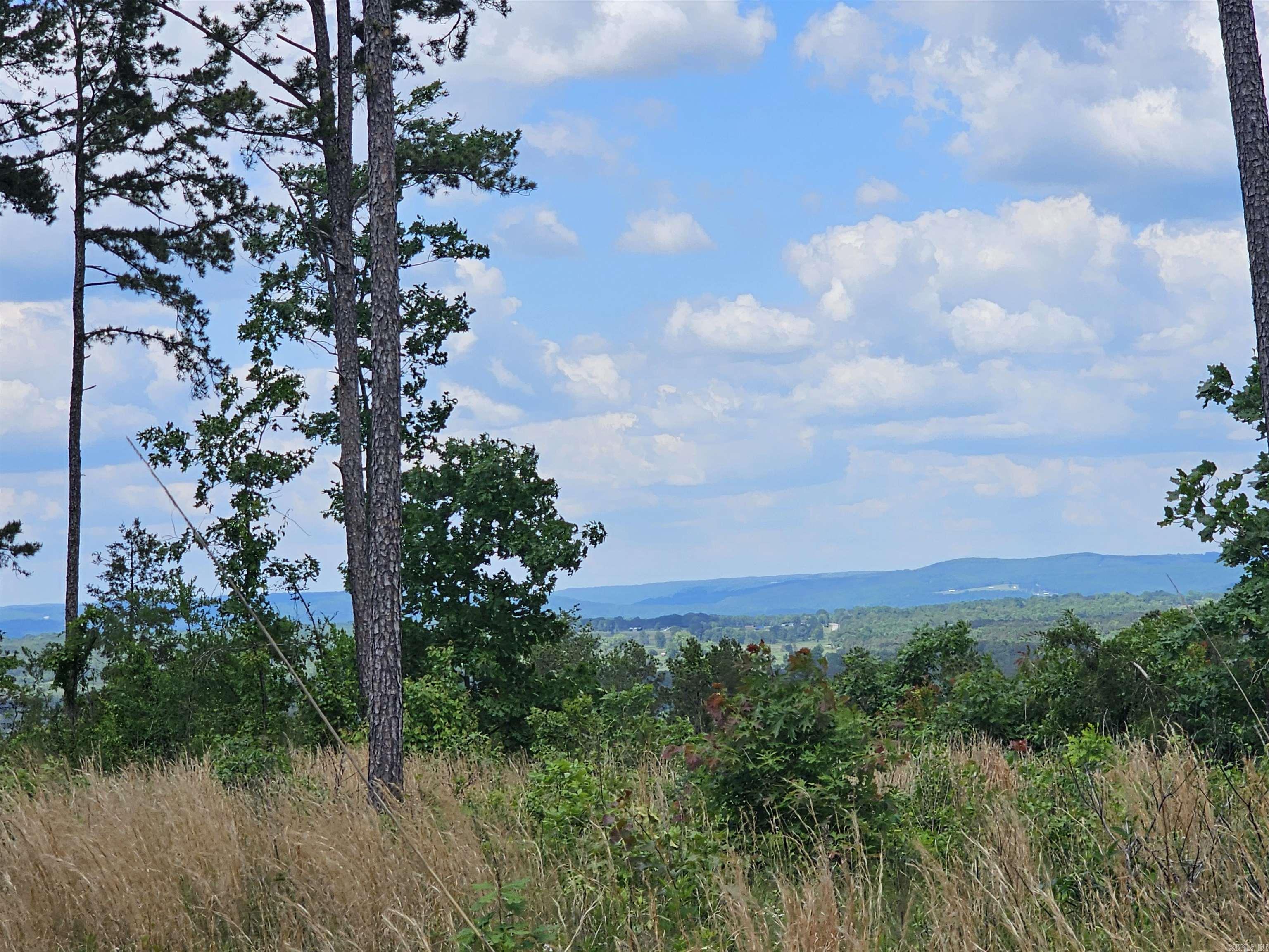0  Newton Rd  Clinton, AR