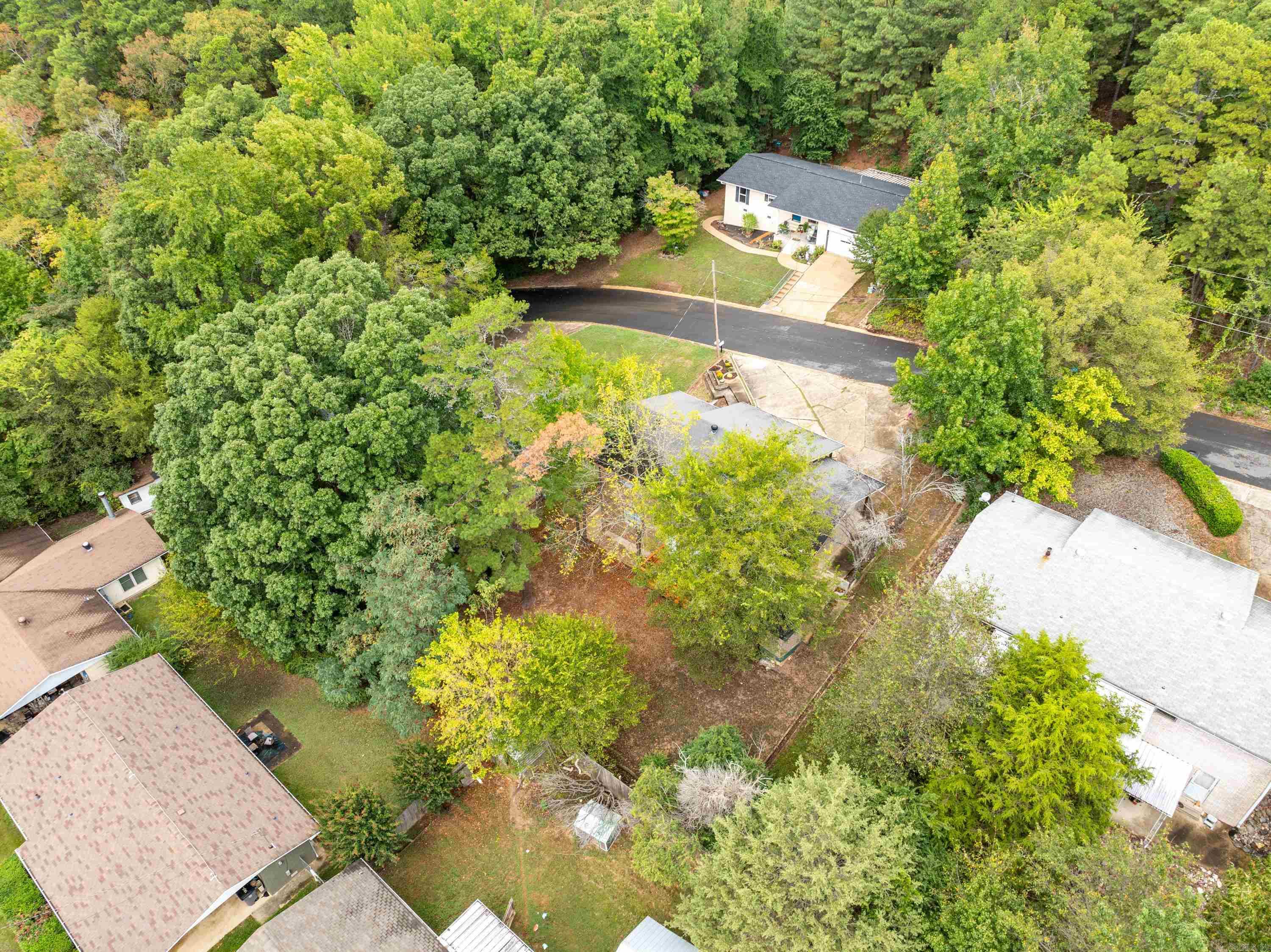 207  Hyacinth  Hot Springs, AR