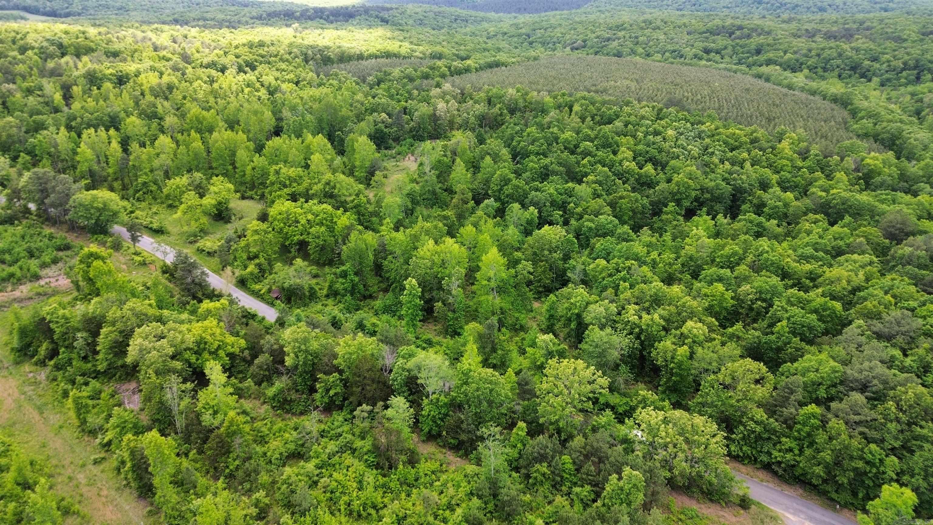  Shady Grove  Shirley, AR