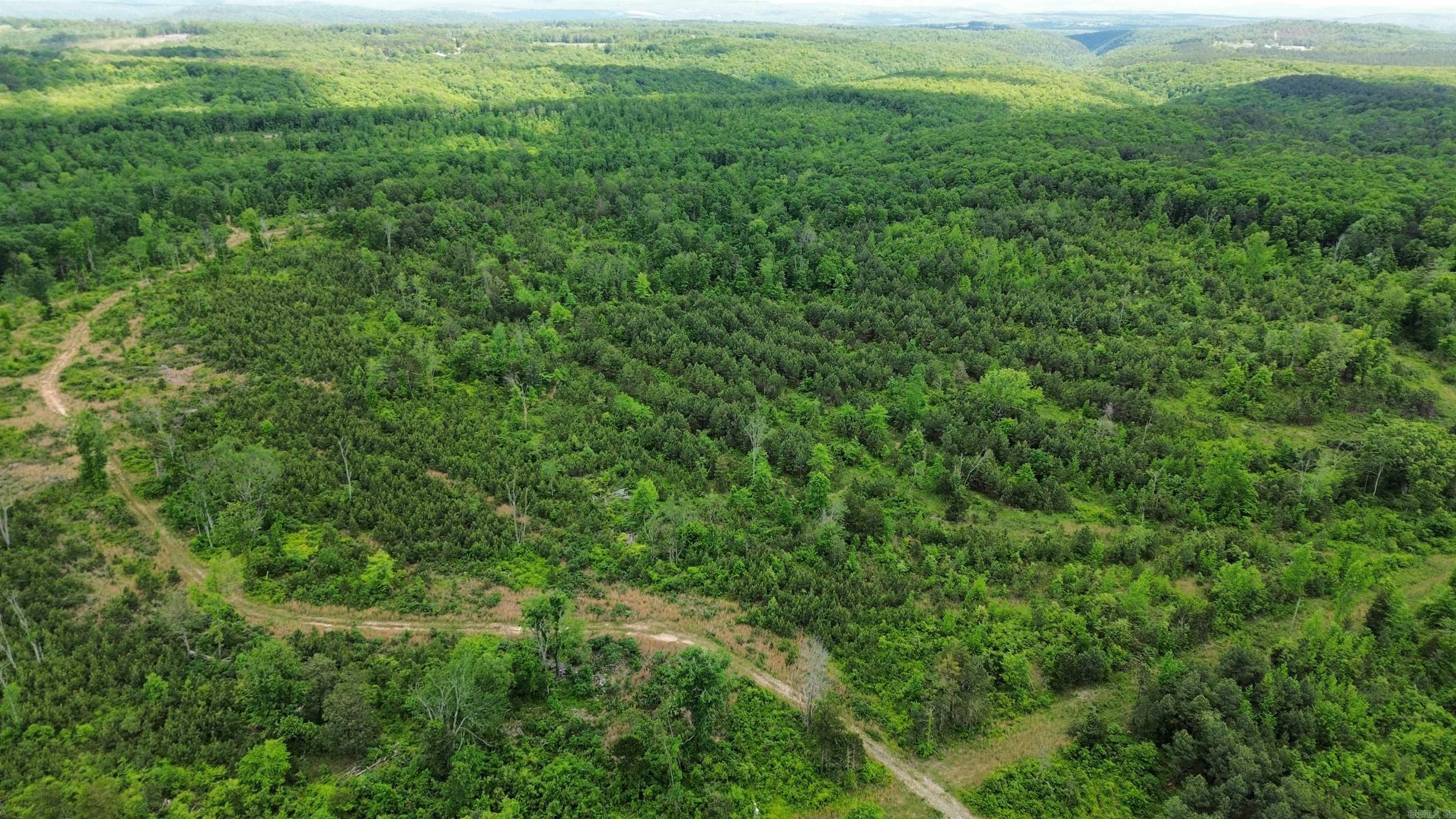  Shady Grove  Shirley, AR