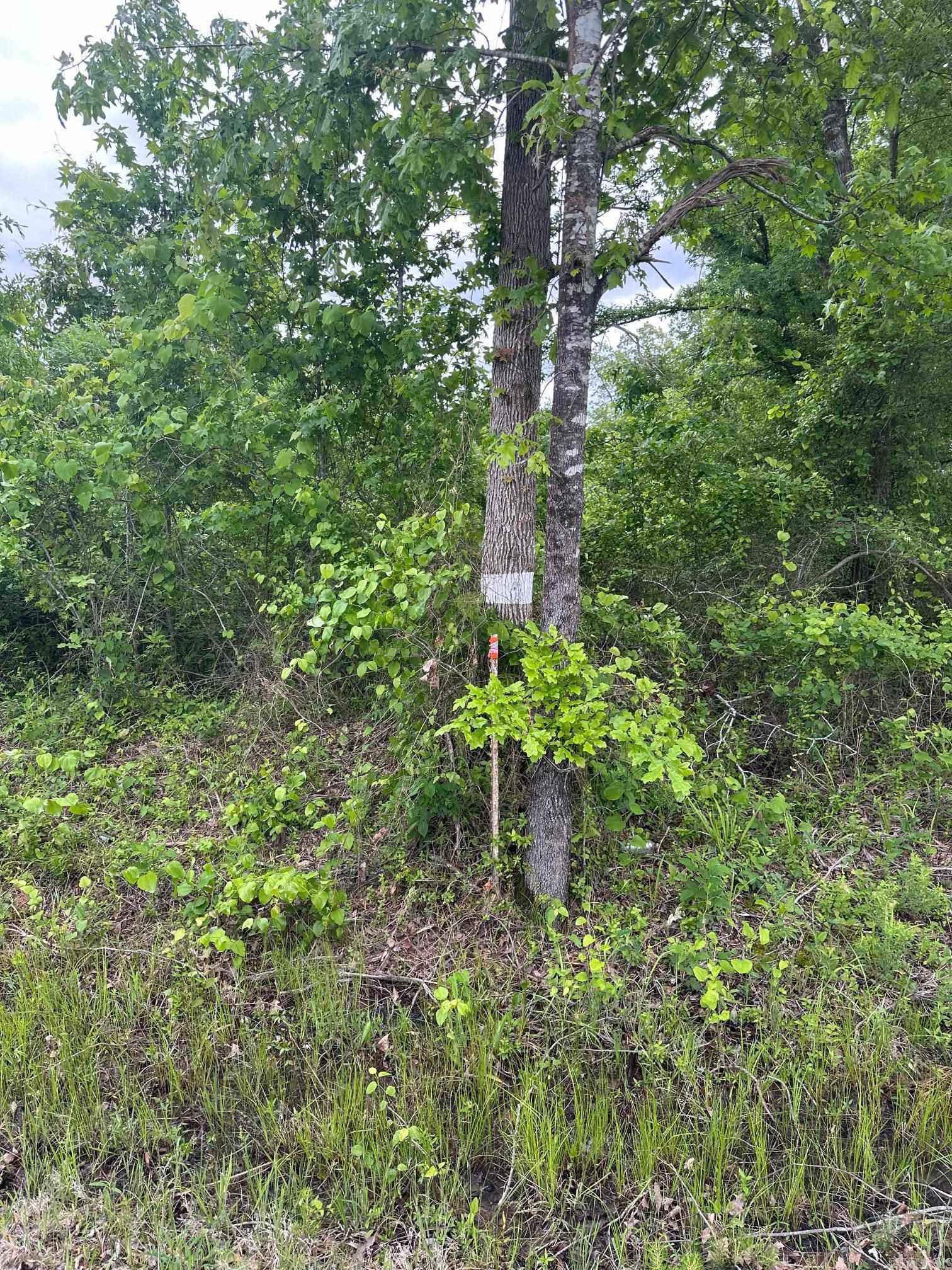   ashley rd 302  Crossett, AR