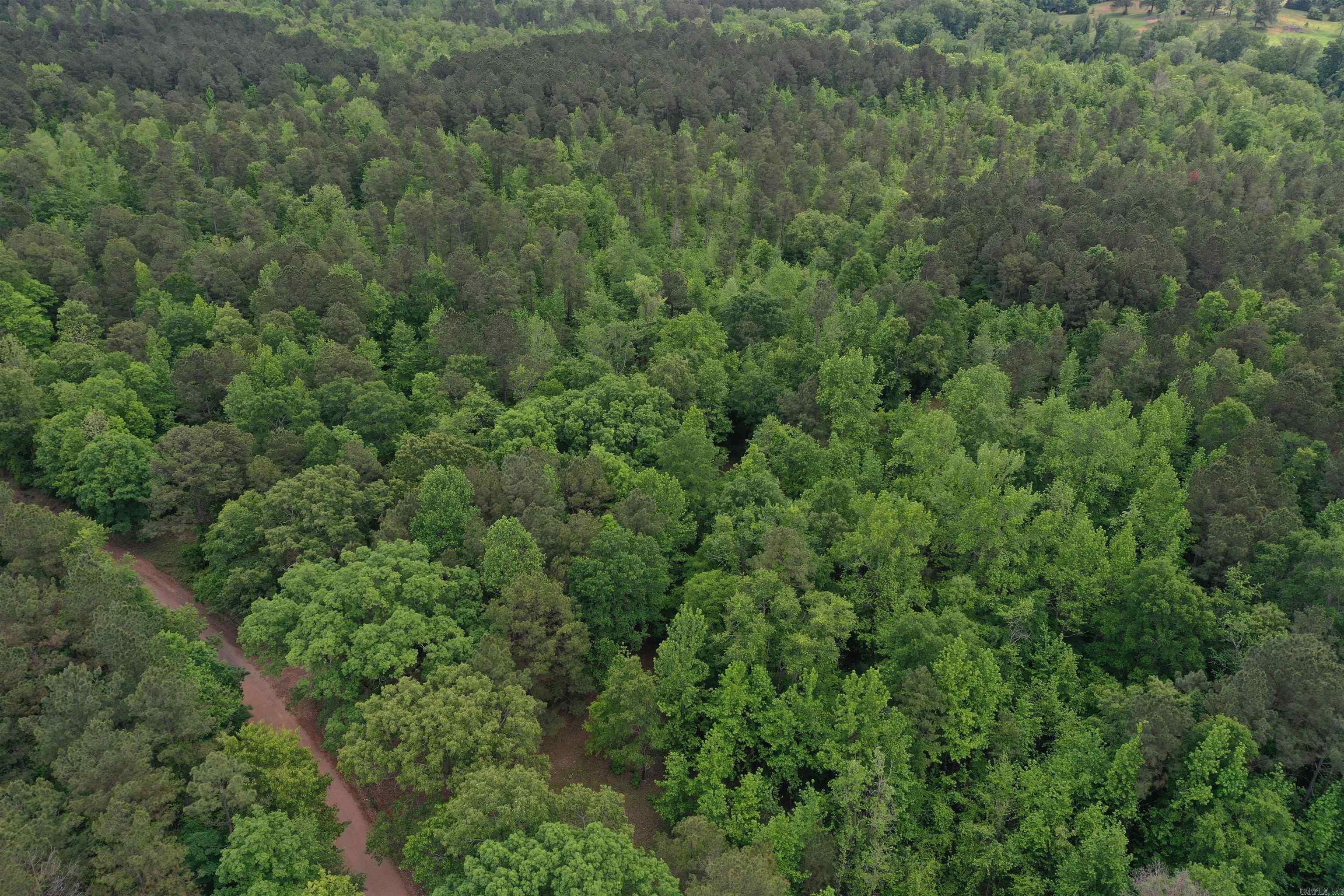 0000  Cantrell Road  Amity, AR