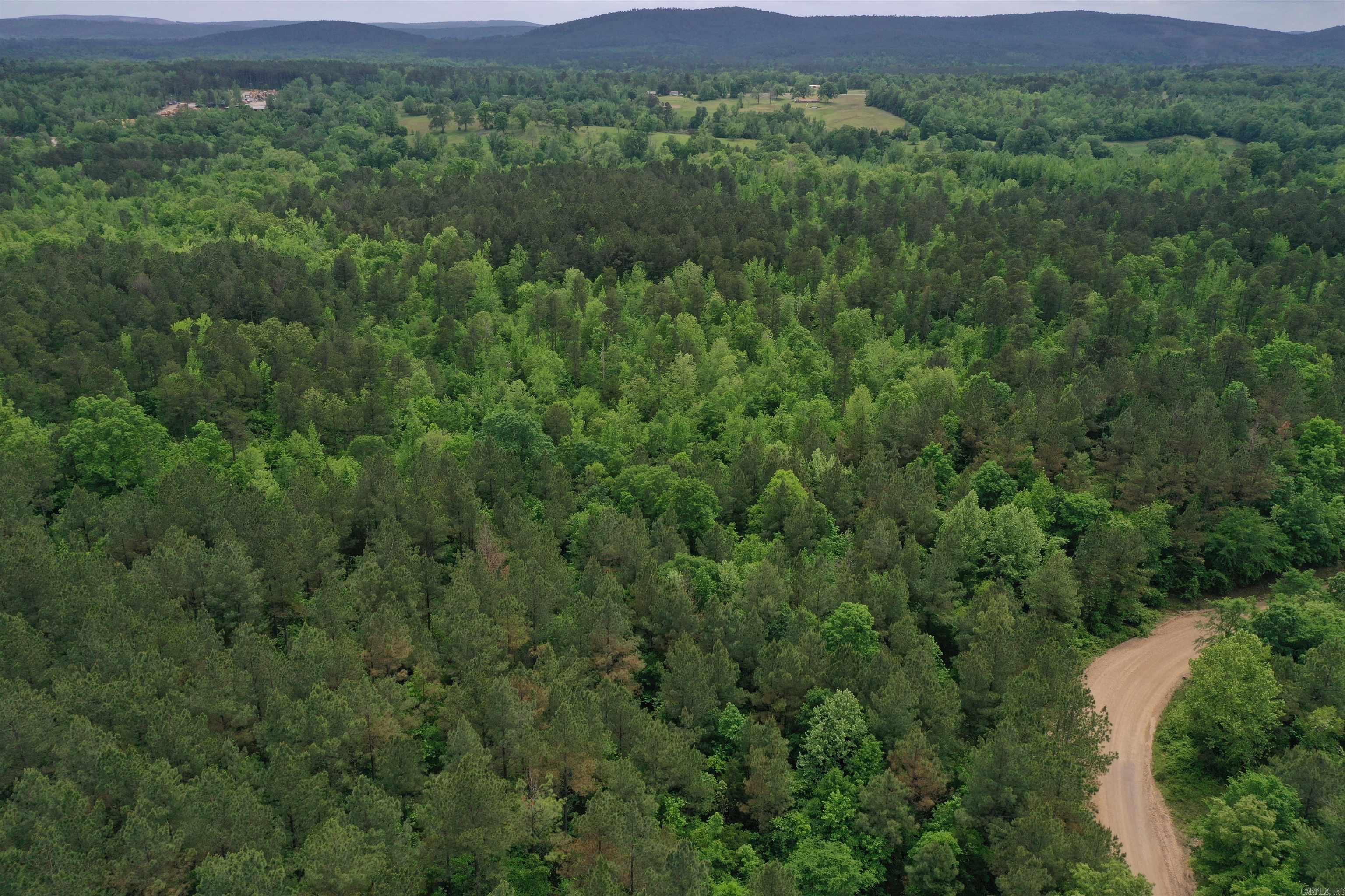 0000  Cantrell Road  Amity, AR