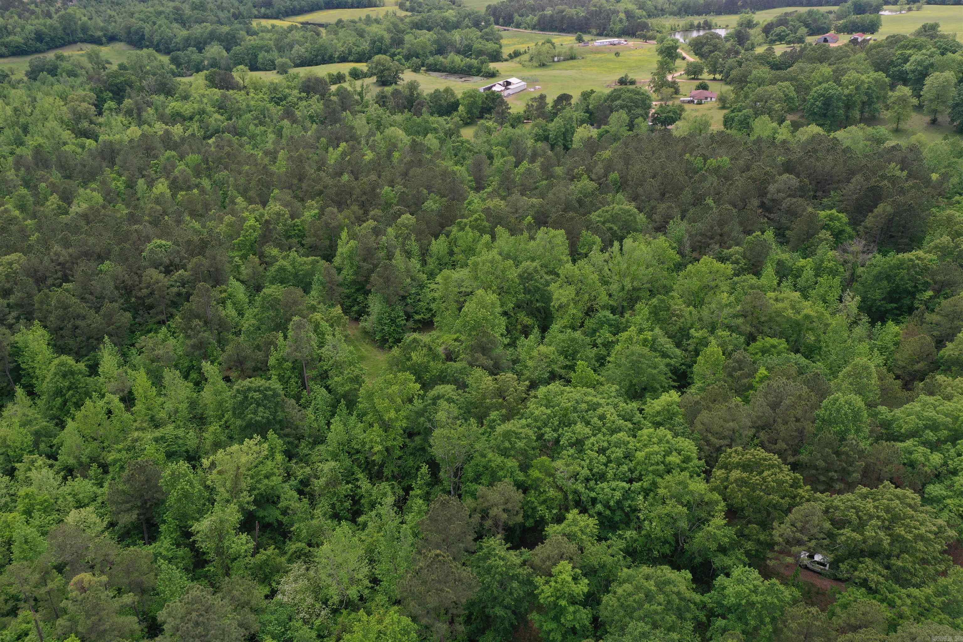 0000  Cantrell Road  Amity, AR