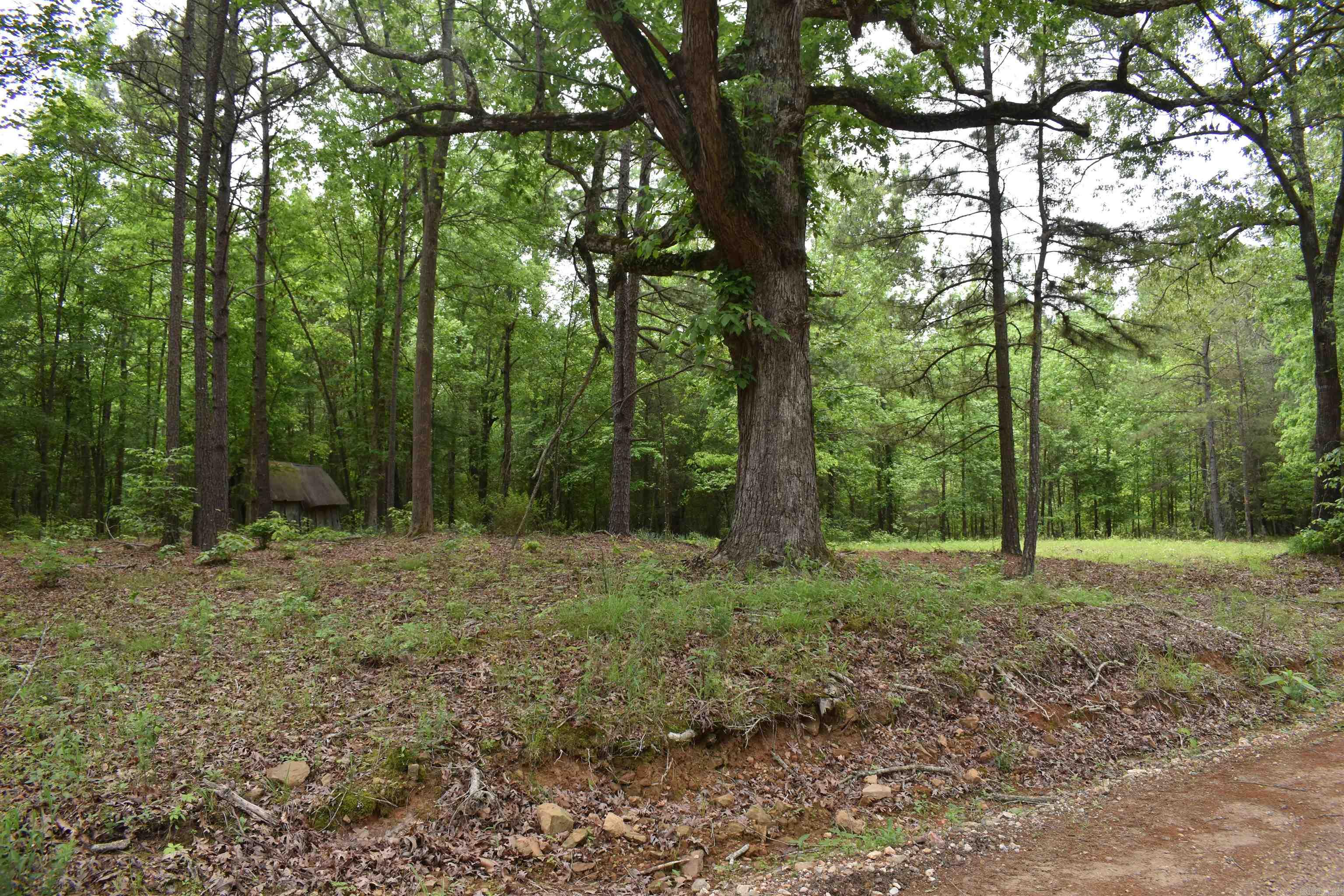 0000  Cantrell Road  Amity, AR