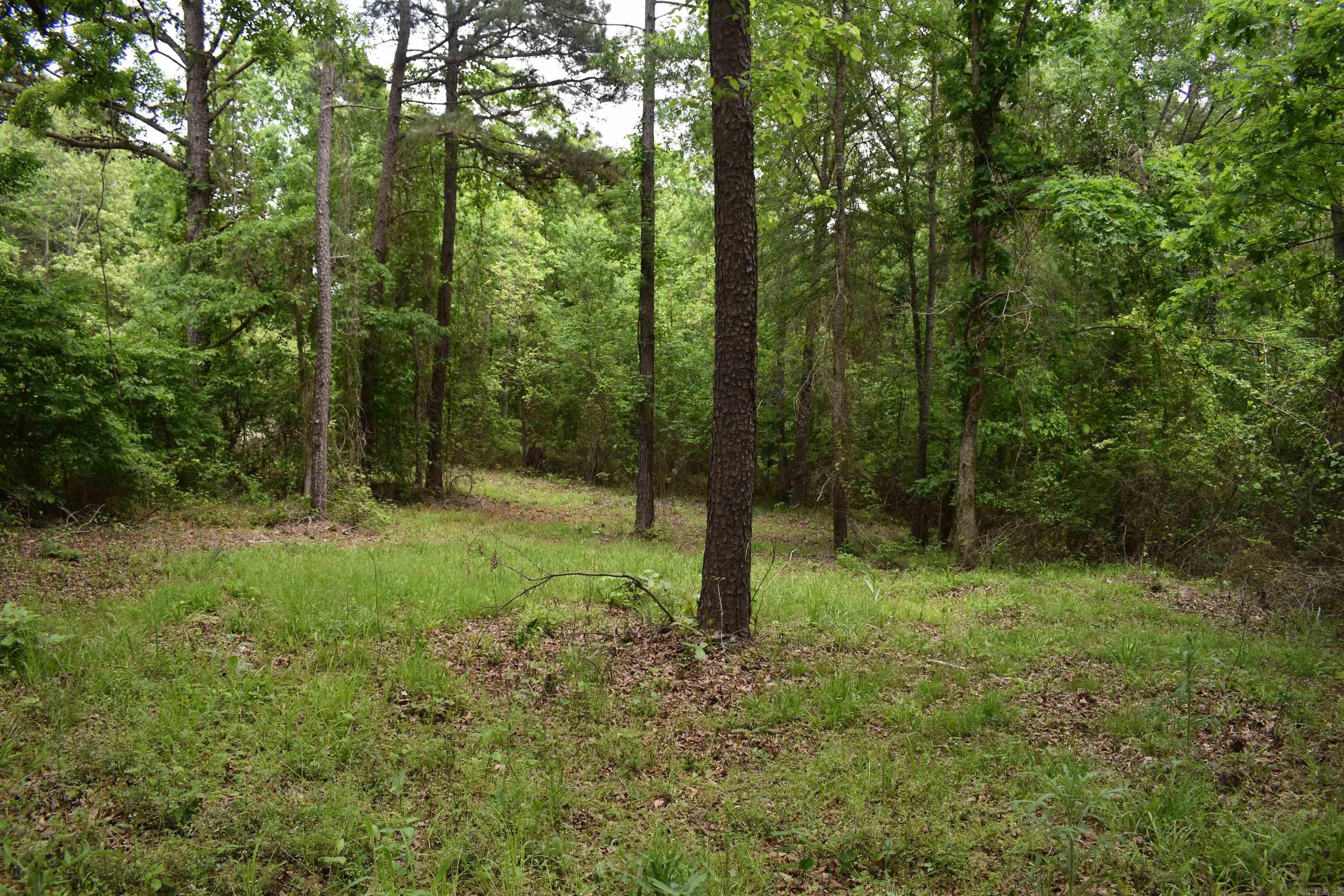 0000  Cantrell Road  Amity, AR