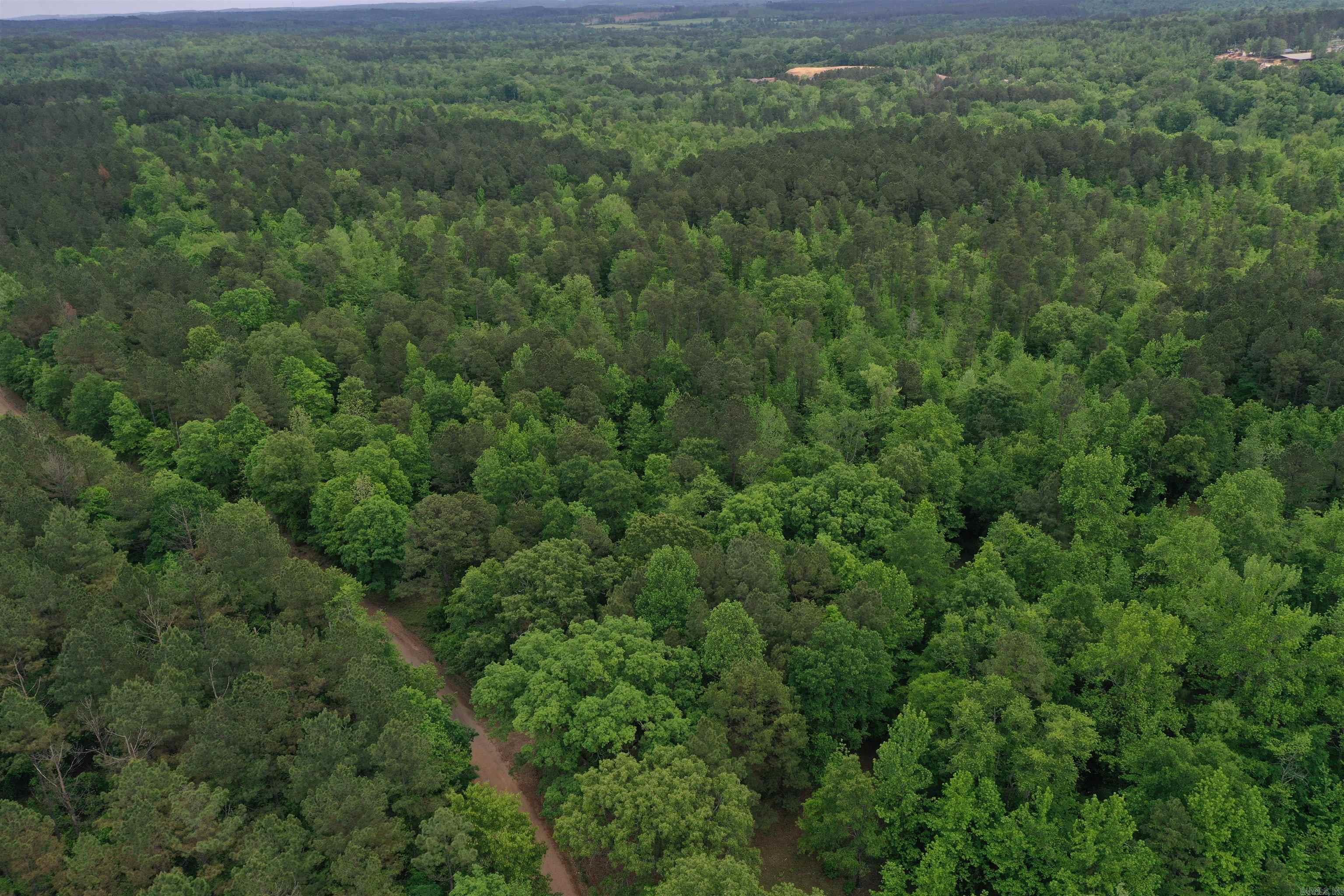 0000  Cantrell Road  Amity, AR