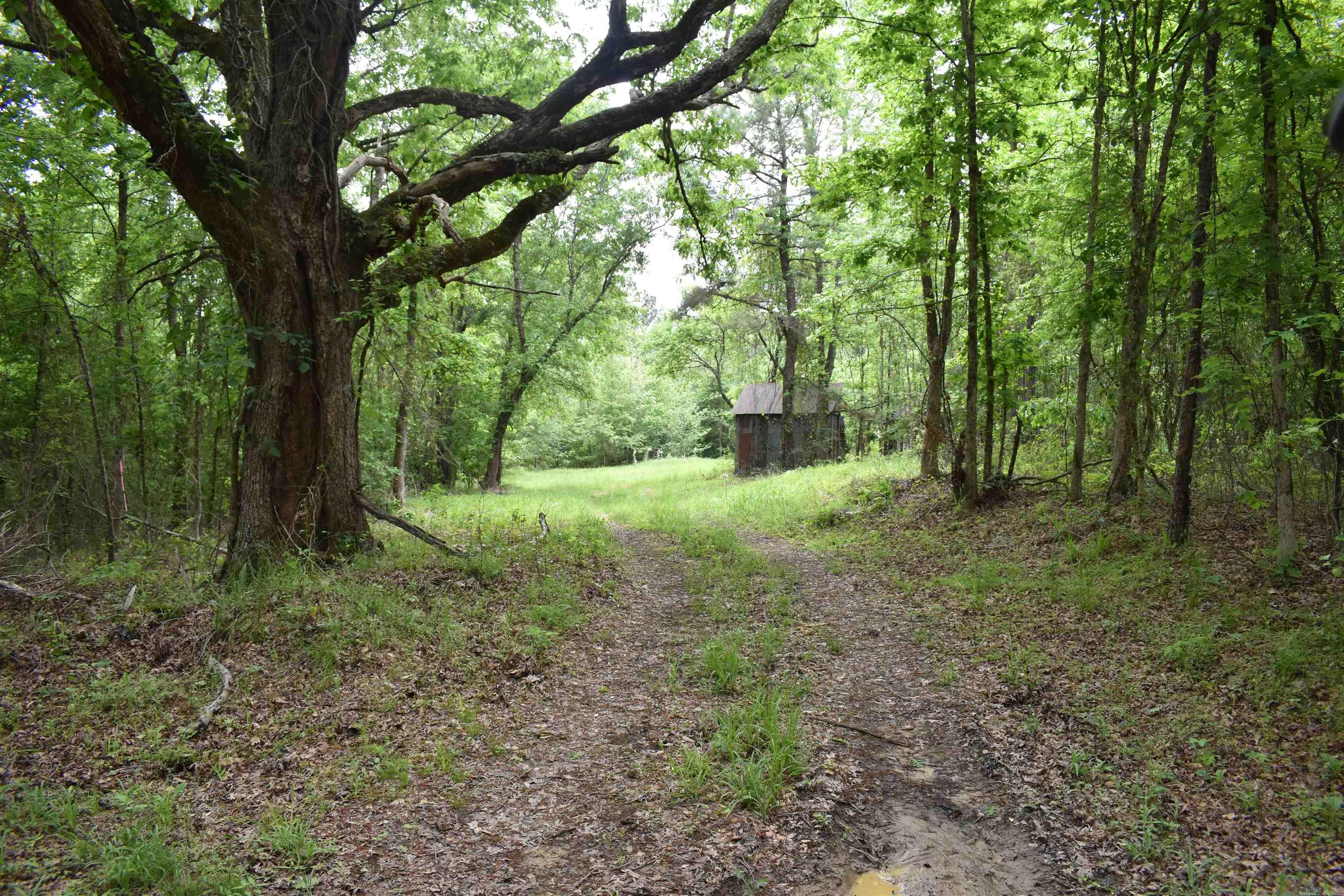 0000  Cantrell Road  Amity, AR