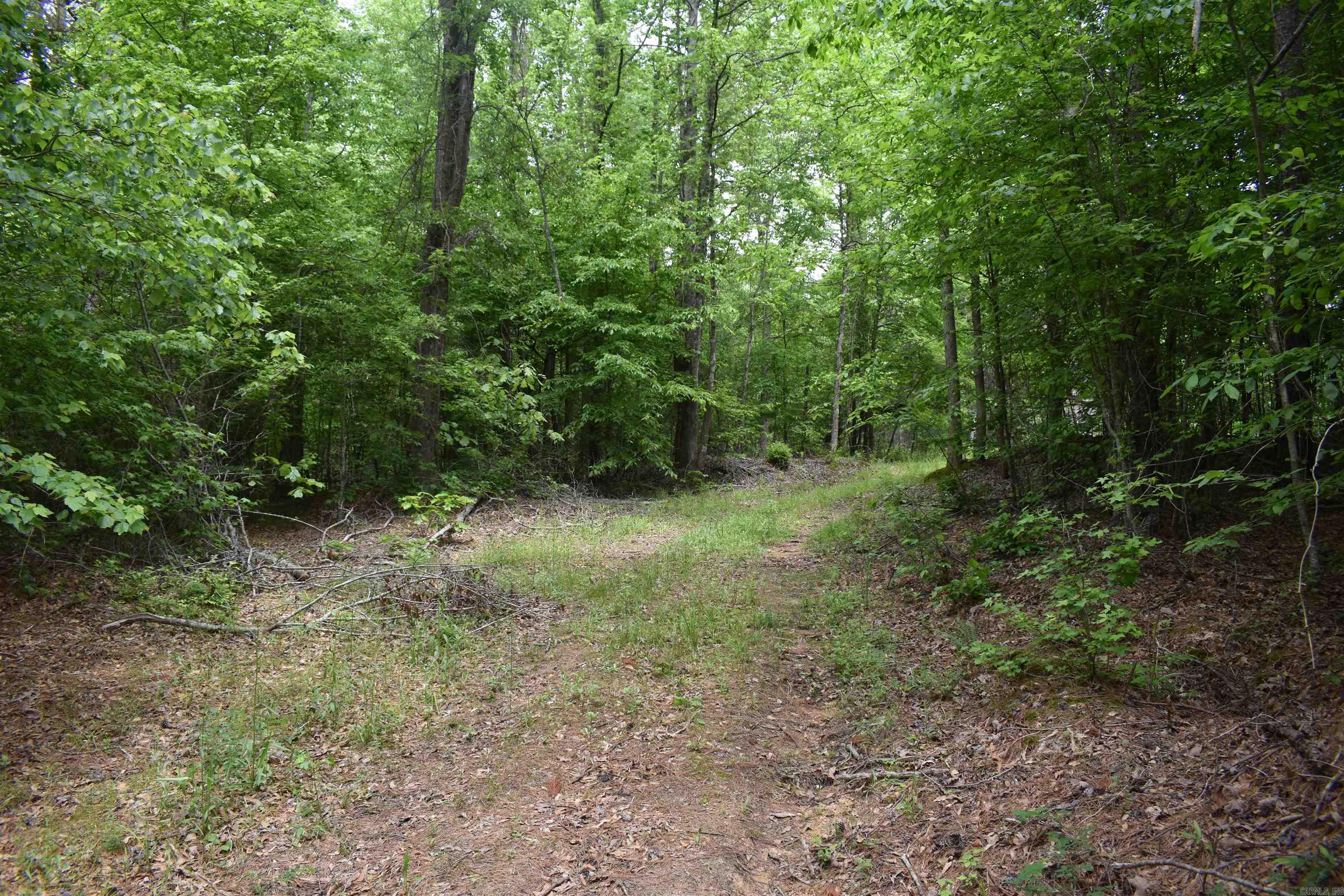 0000  Cantrell Road  Amity, AR