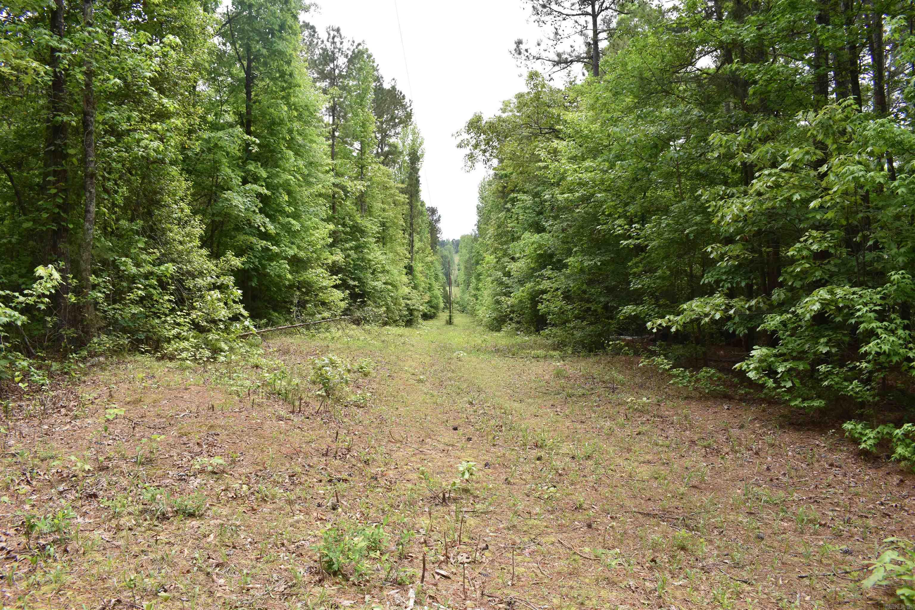 0000  Cantrell Road  Amity, AR
