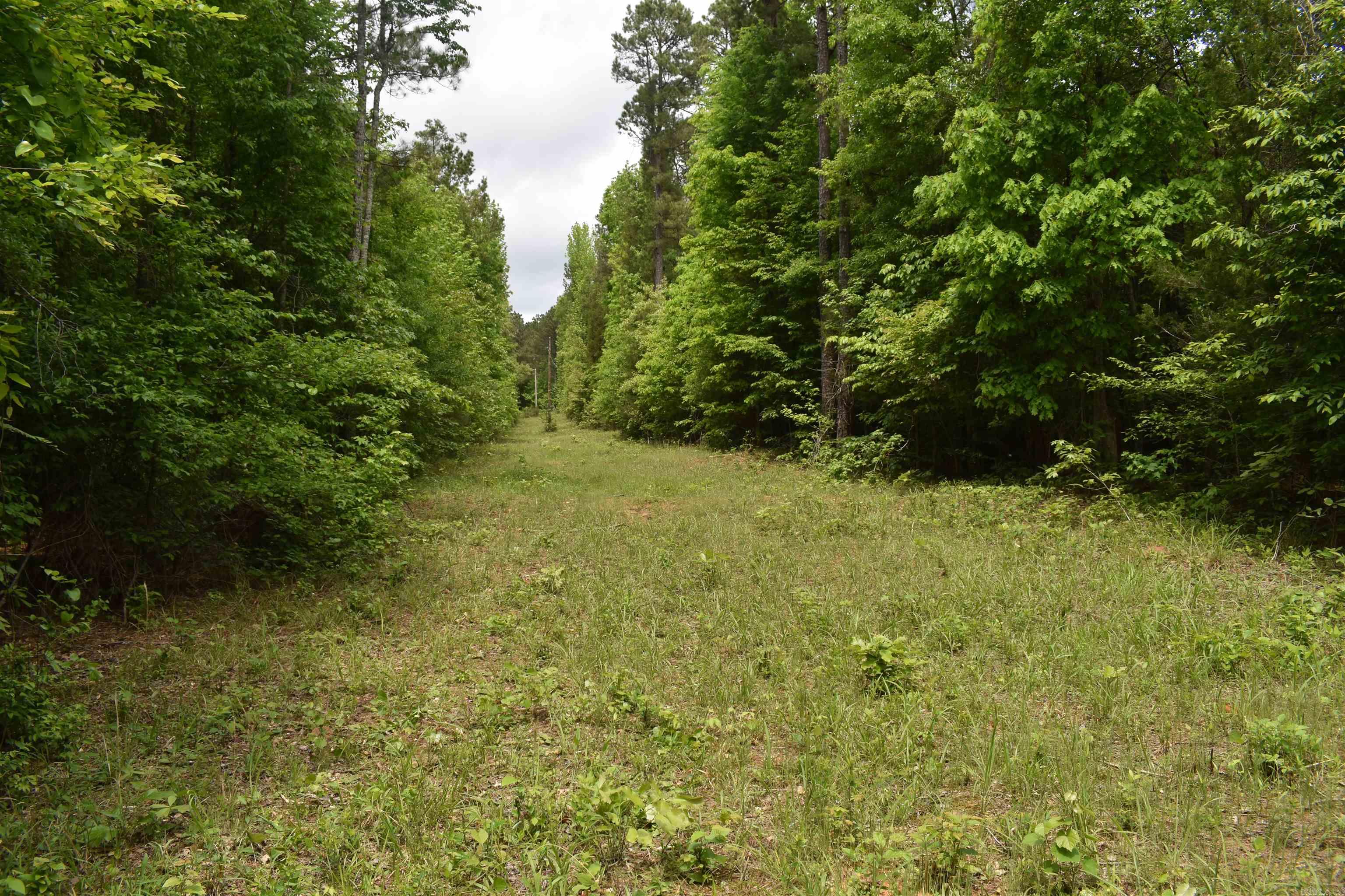 0000  Cantrell Road  Amity, AR