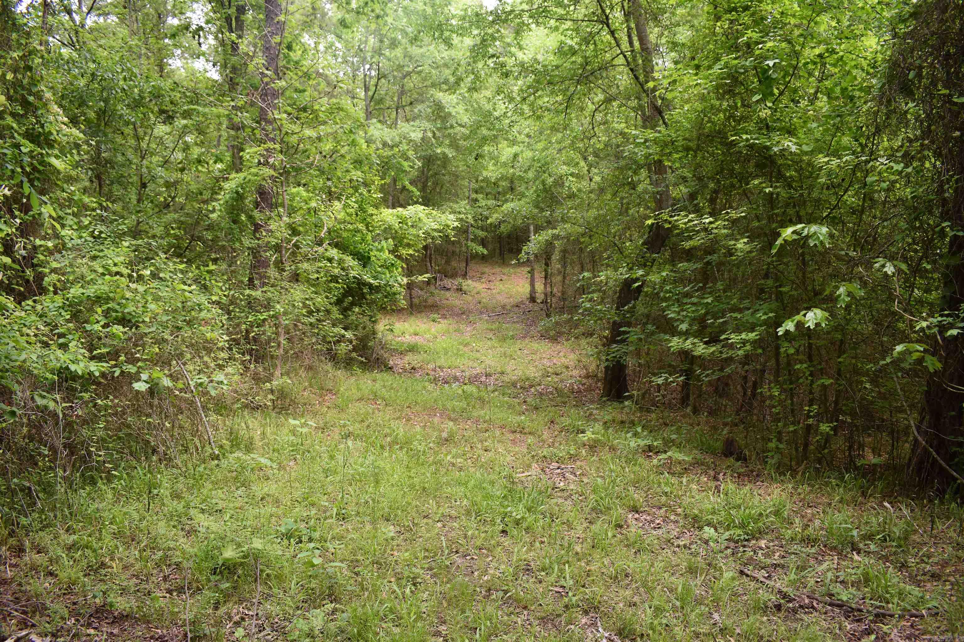 0000  Cantrell Road  Amity, AR