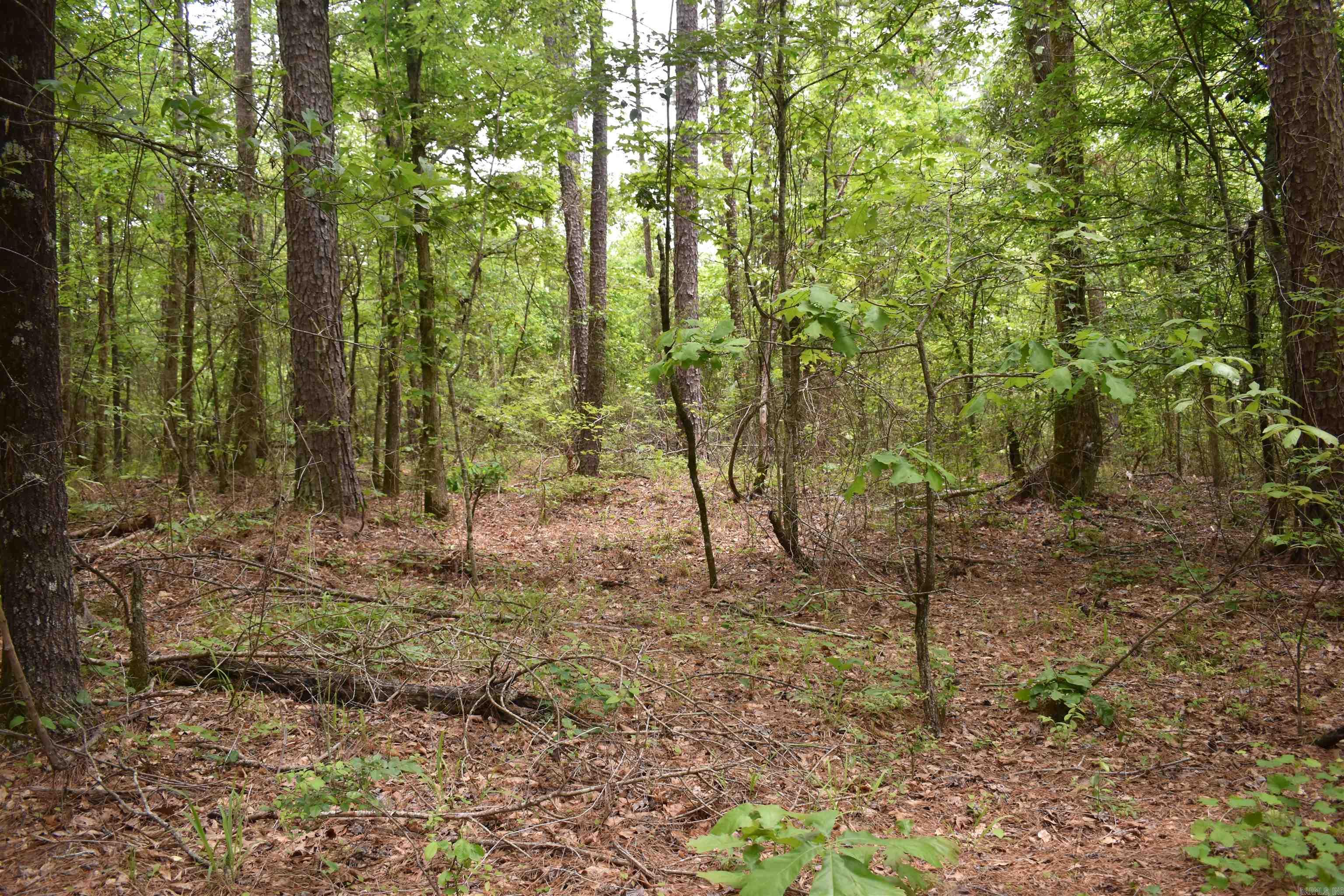 0000  Cantrell Road  Amity, AR