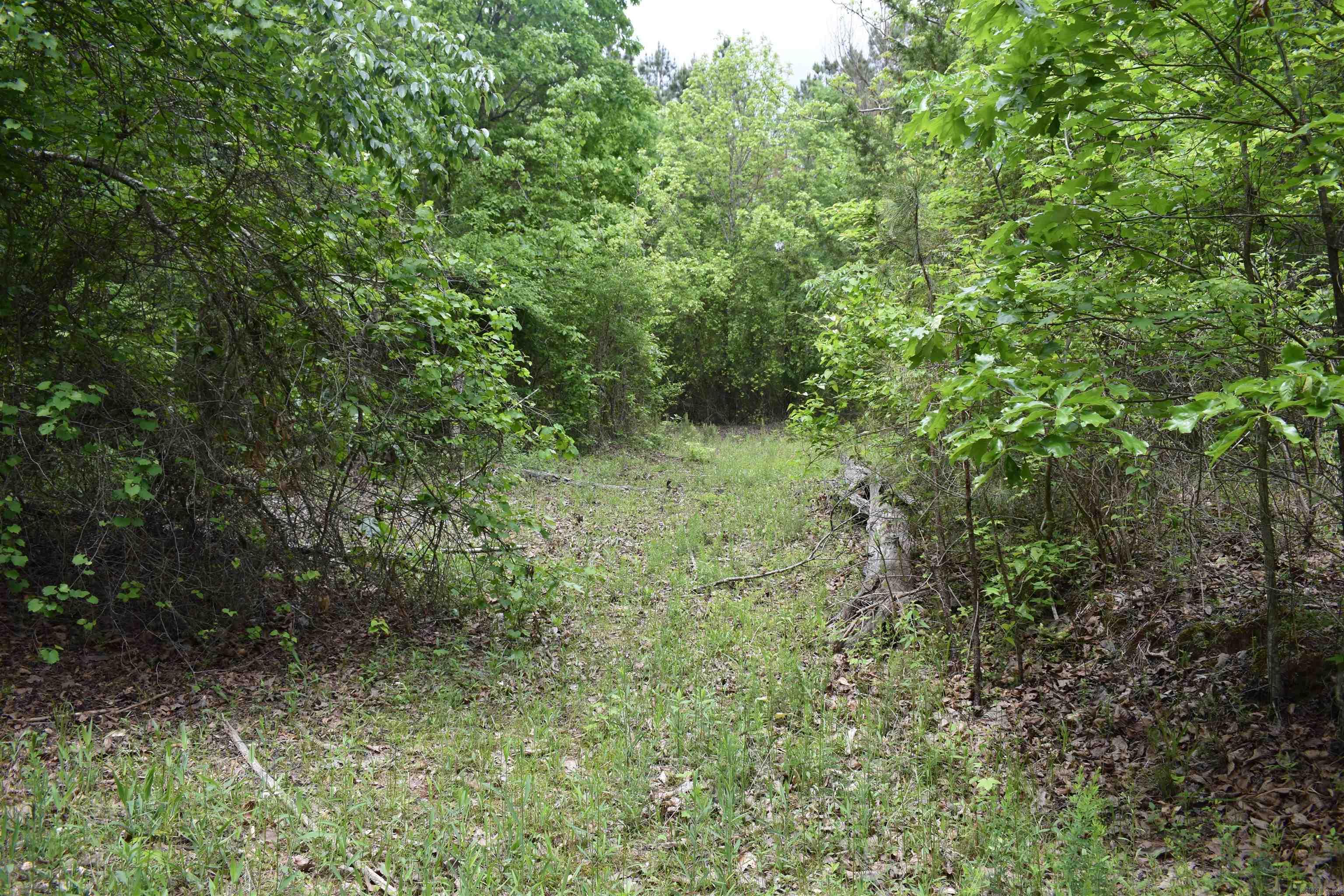 0000  Cantrell Road  Amity, AR
