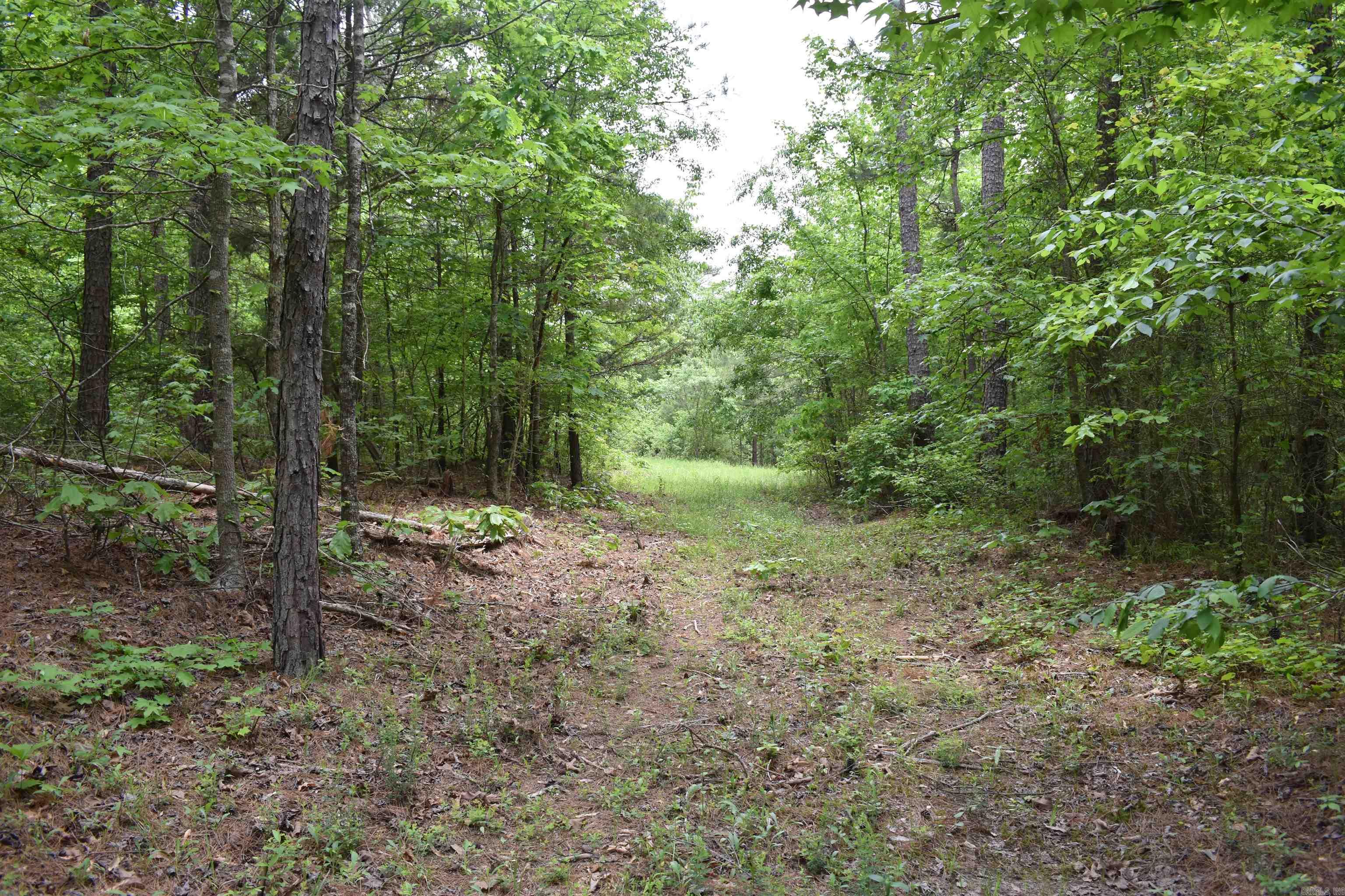 0000  Cantrell Road  Amity, AR