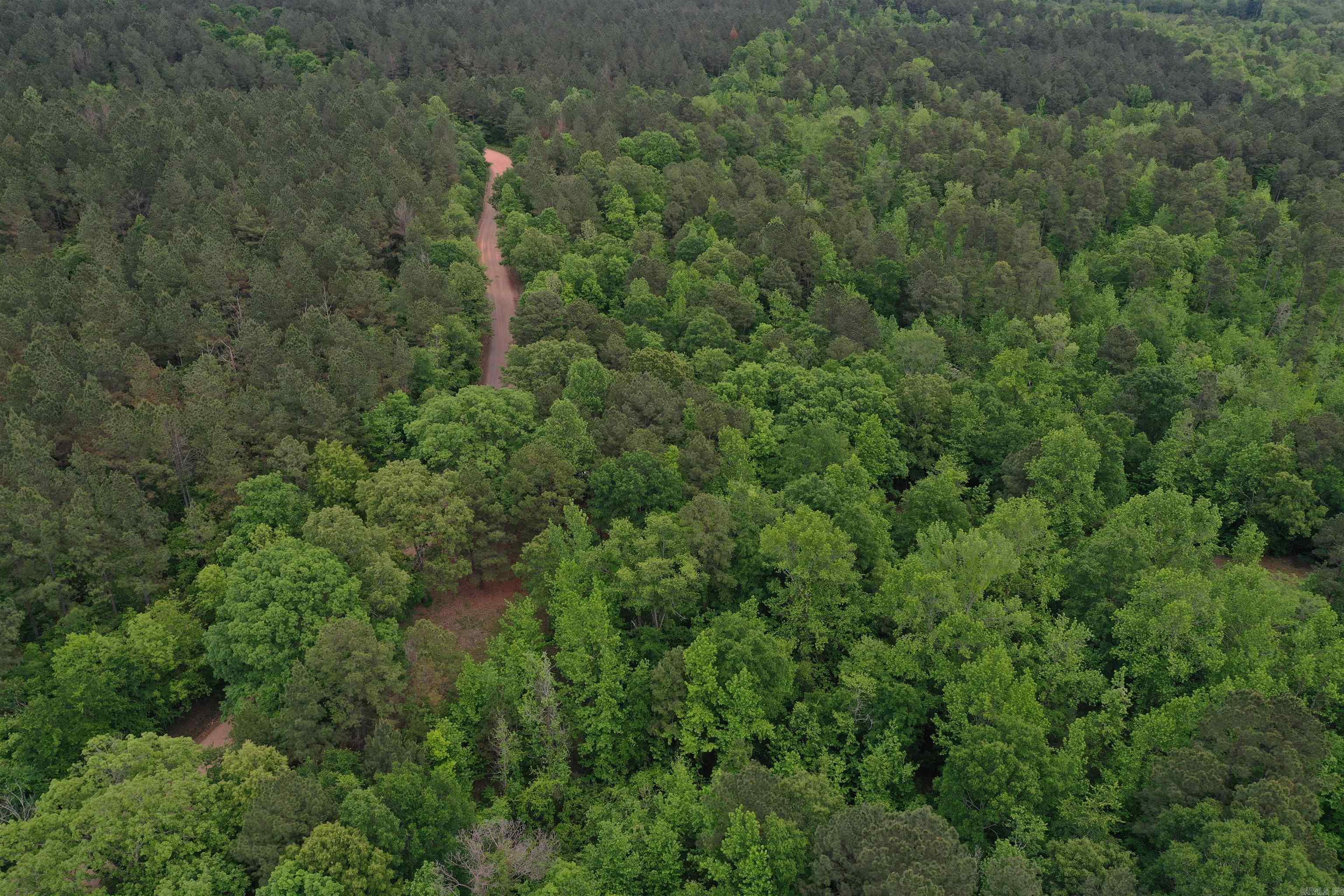 0000  Cantrell Road  Amity, AR