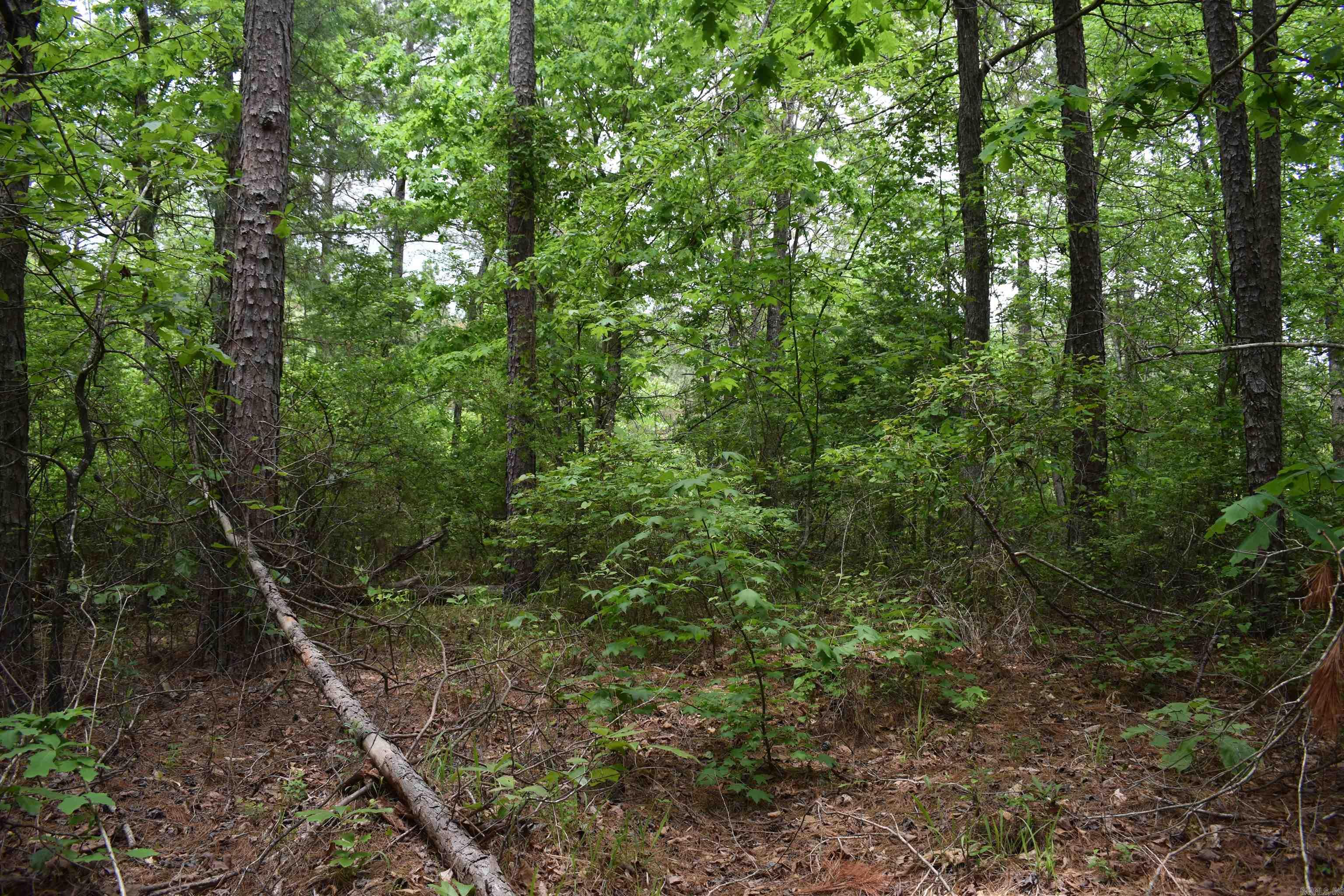 0000  Cantrell Road  Amity, AR