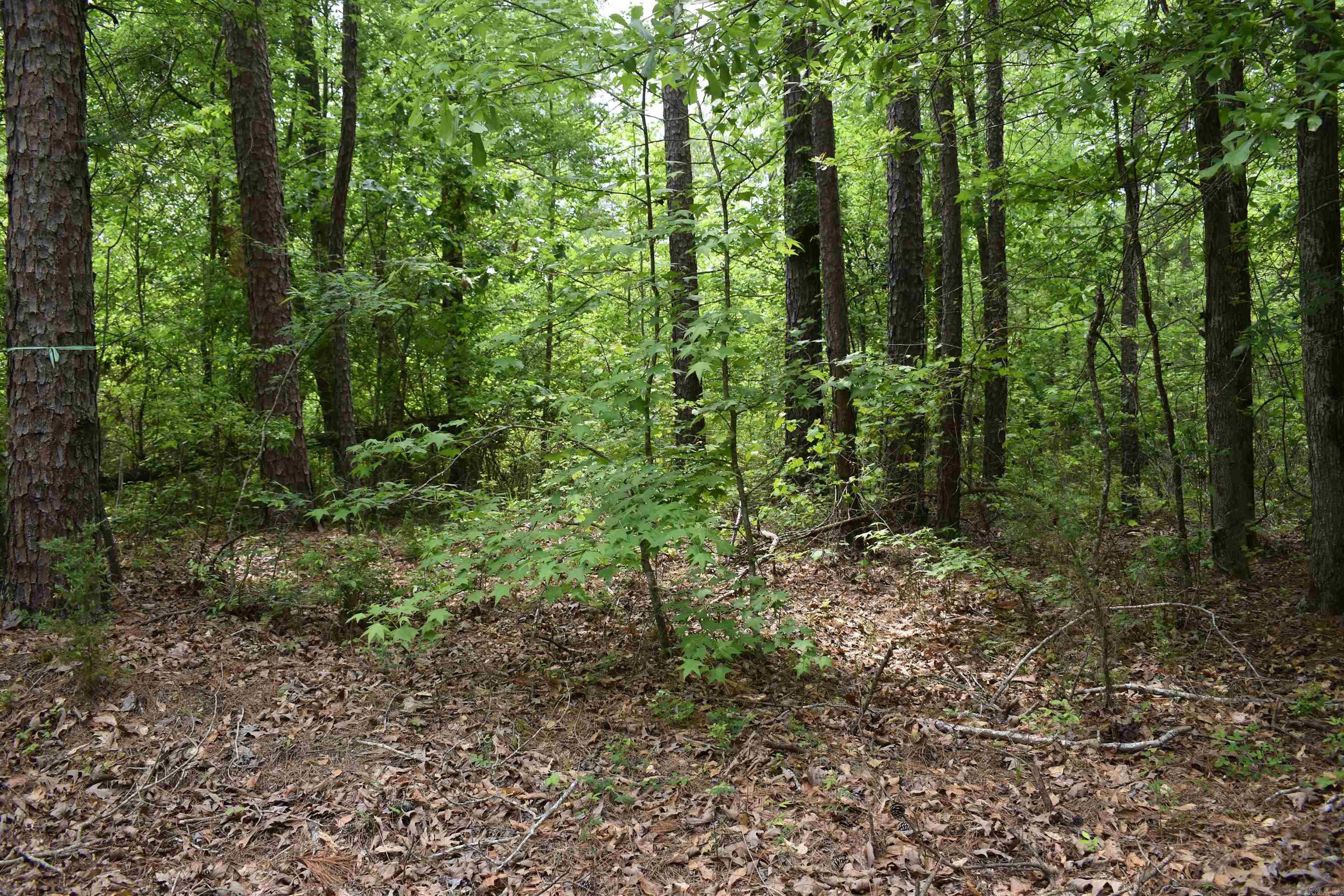 0000  Cantrell Road  Amity, AR