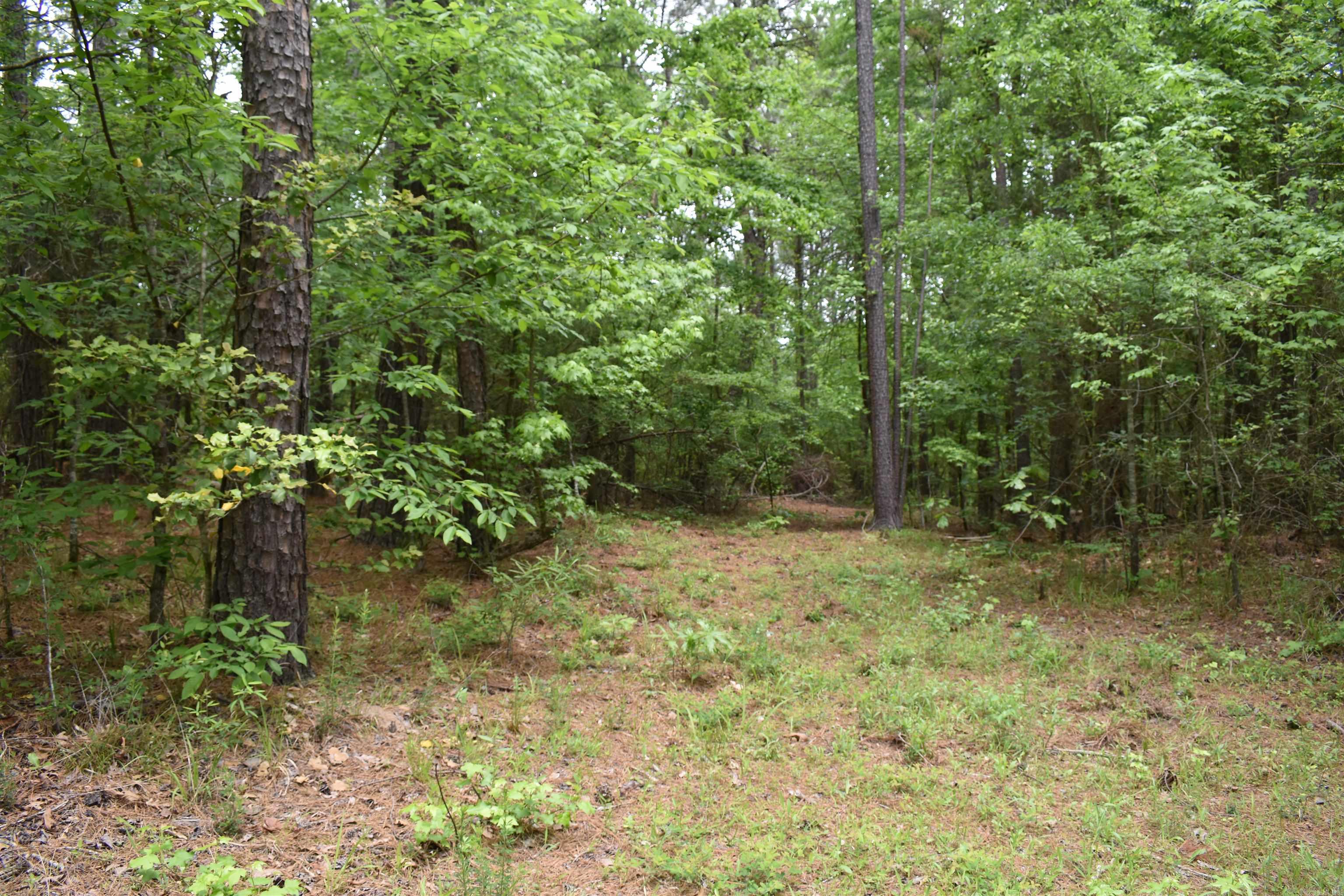 0000  Cantrell Road  Amity, AR