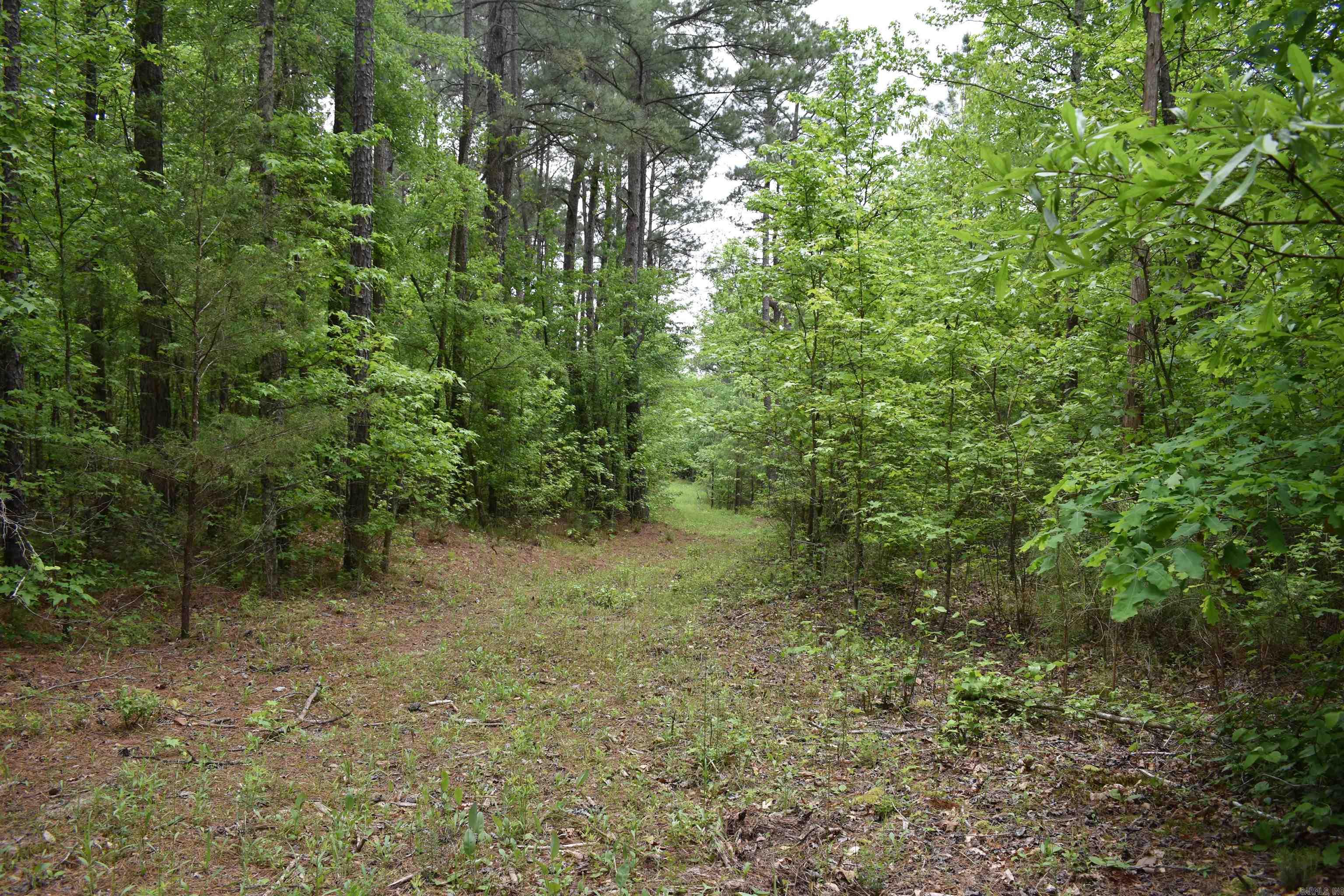 0000  Cantrell Road  Amity, AR