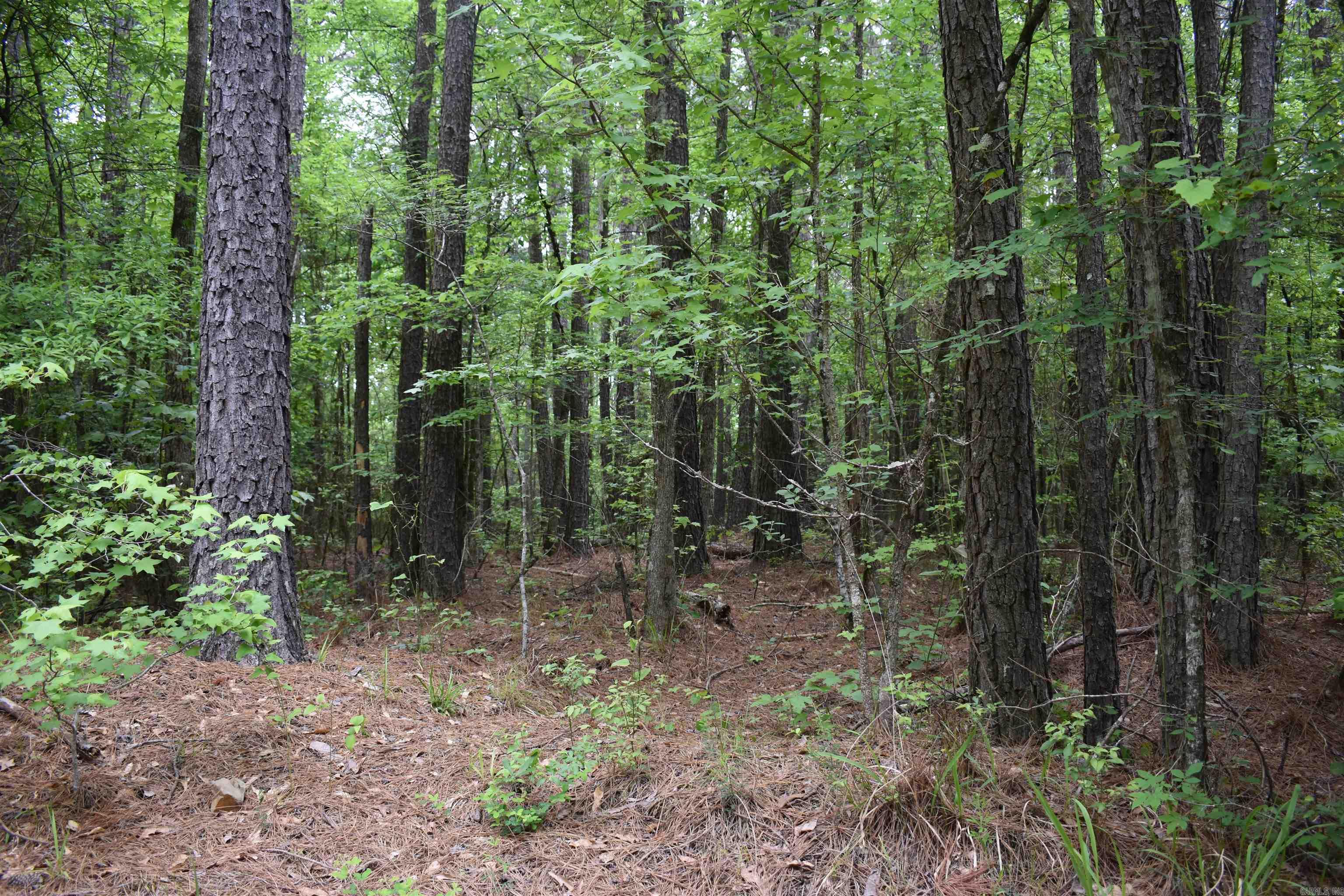 0000  Cantrell Road  Amity, AR