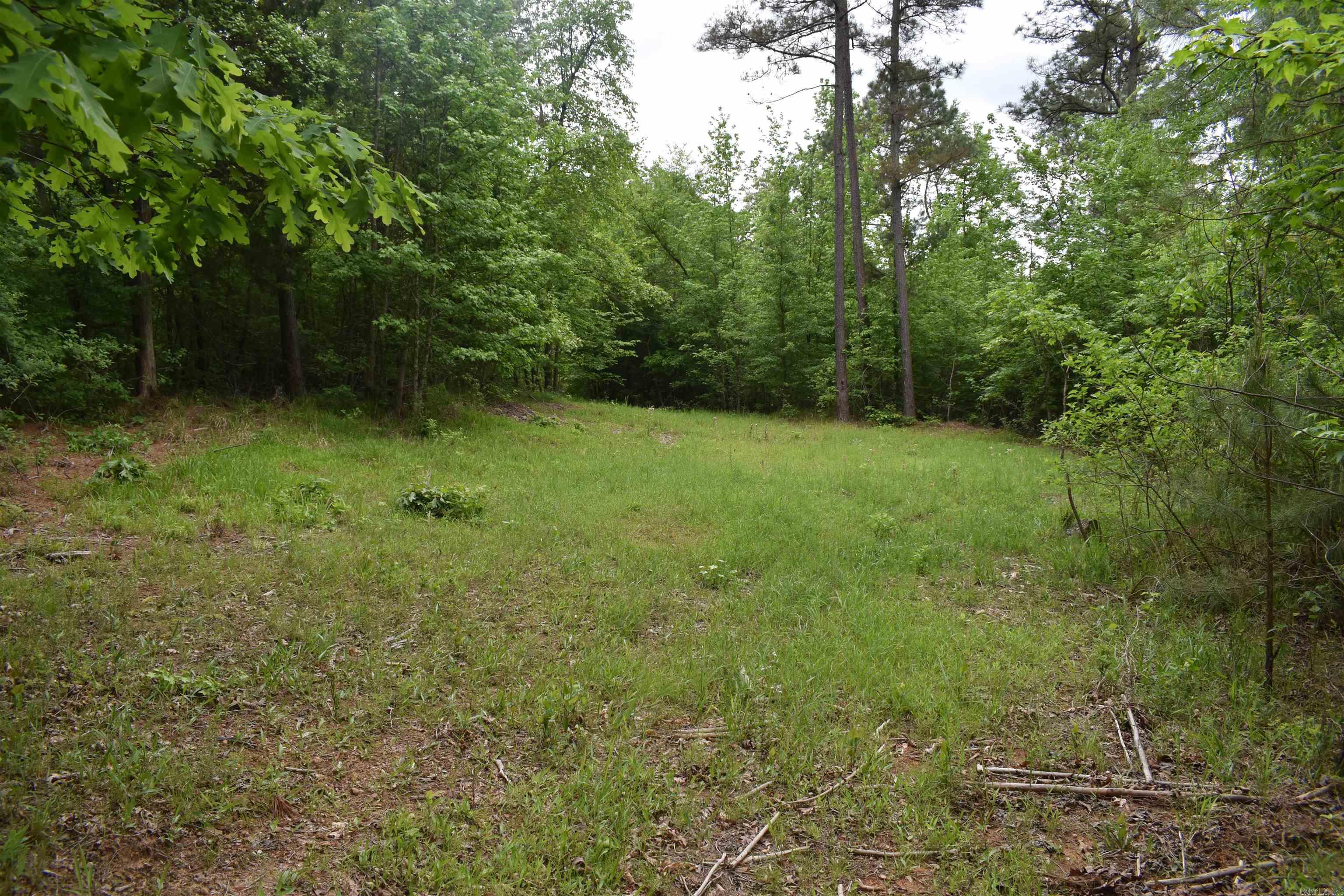 0000  Cantrell Road  Amity, AR
