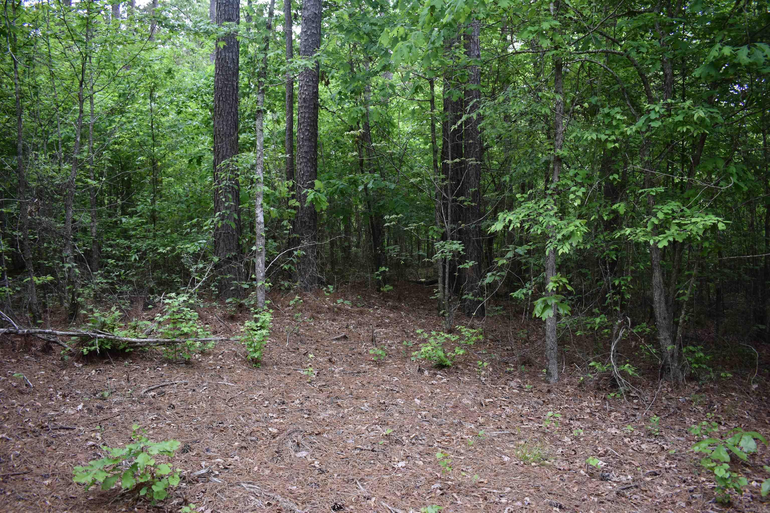 0000  Cantrell Road  Amity, AR
