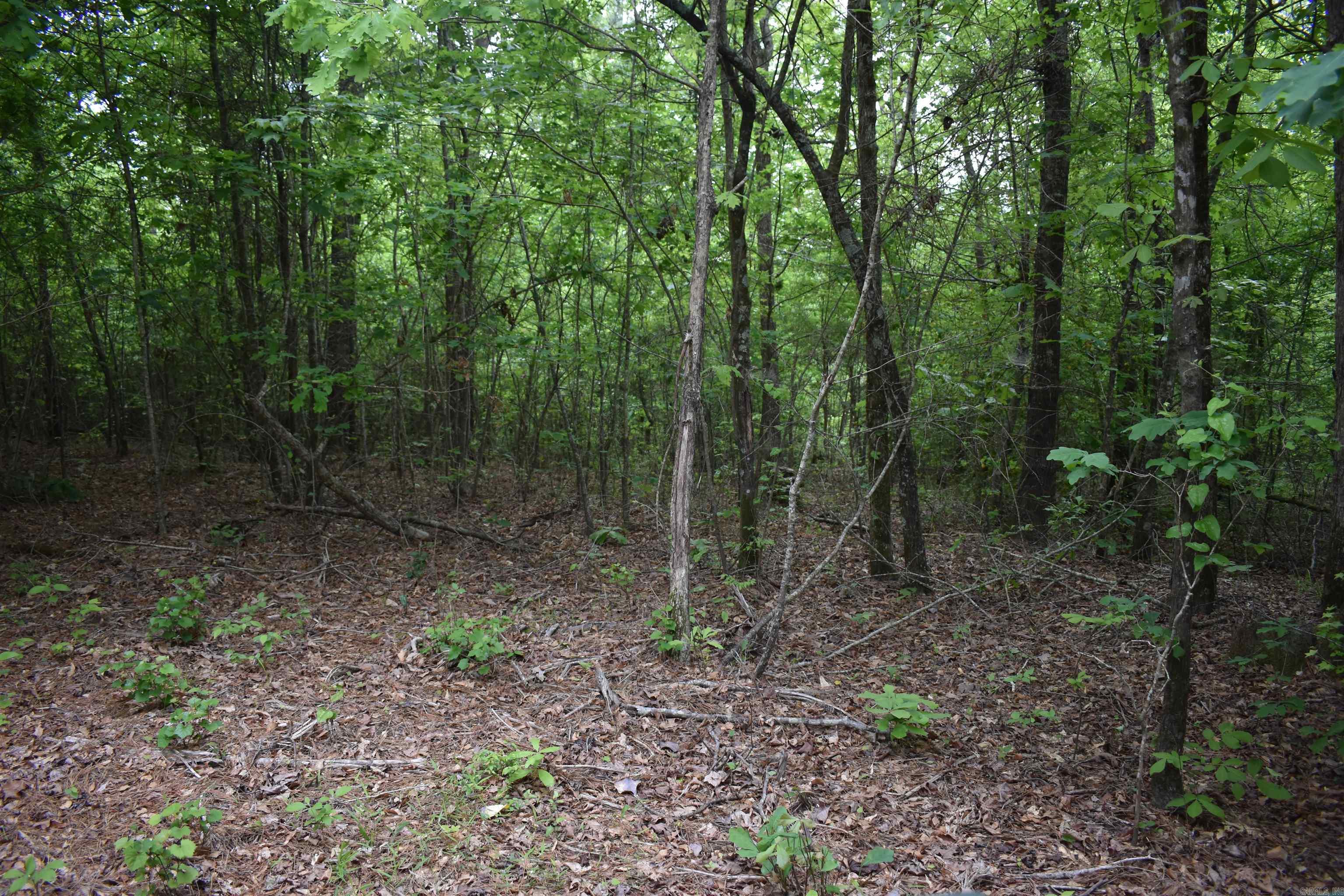 0000  Cantrell Road  Amity, AR