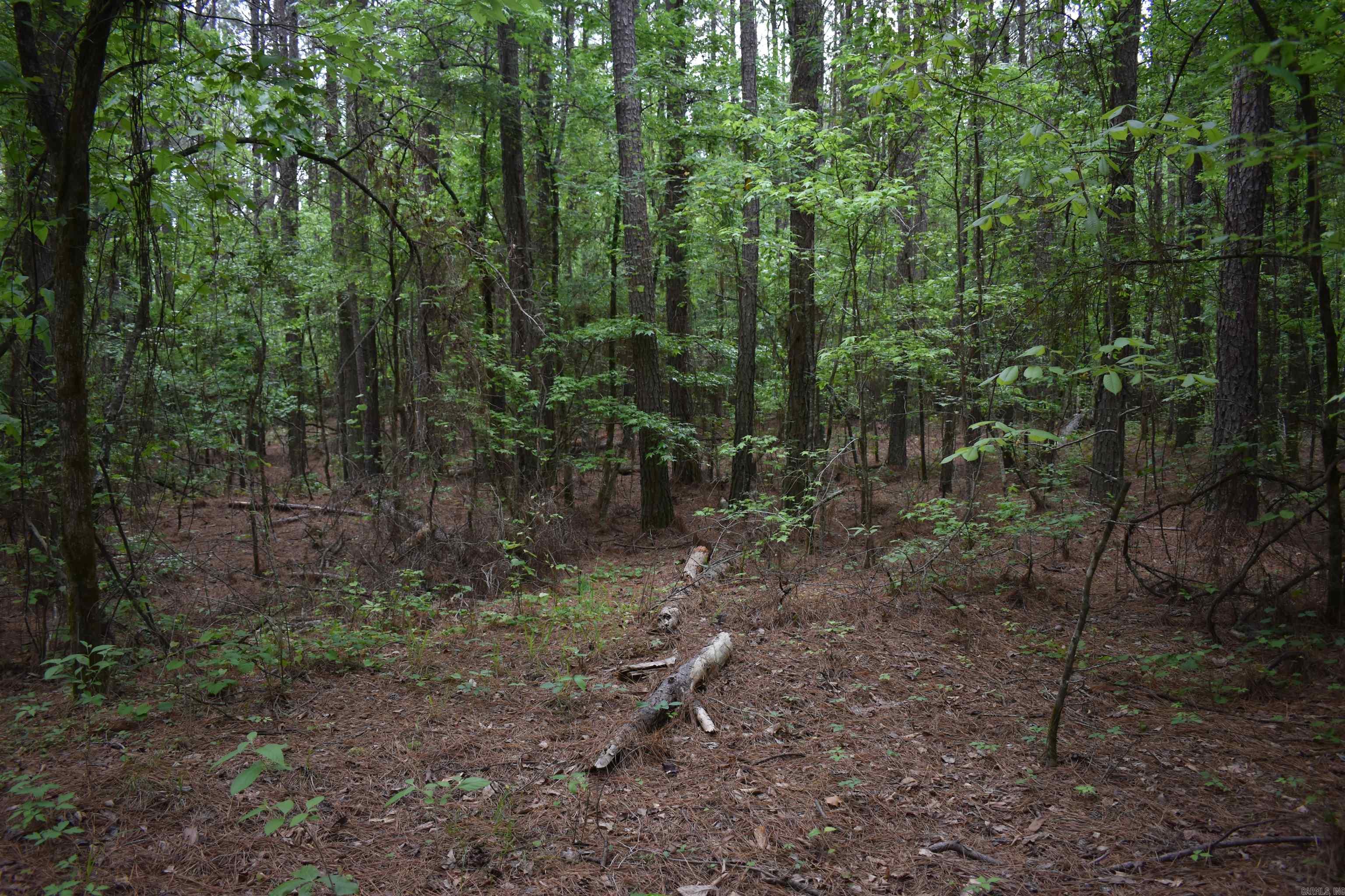 0000  Cantrell Road  Amity, AR