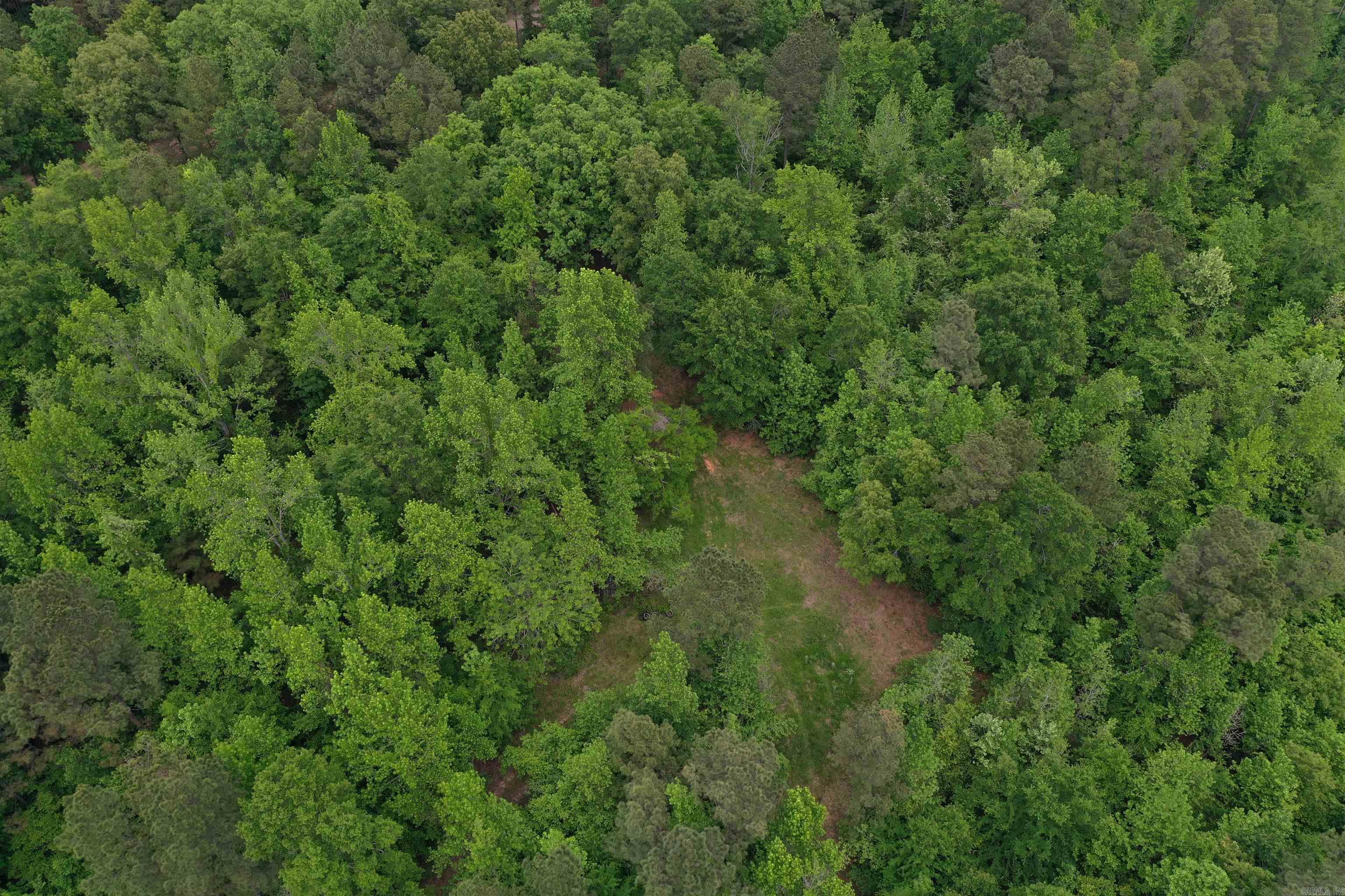 0000  Cantrell Road  Amity, AR