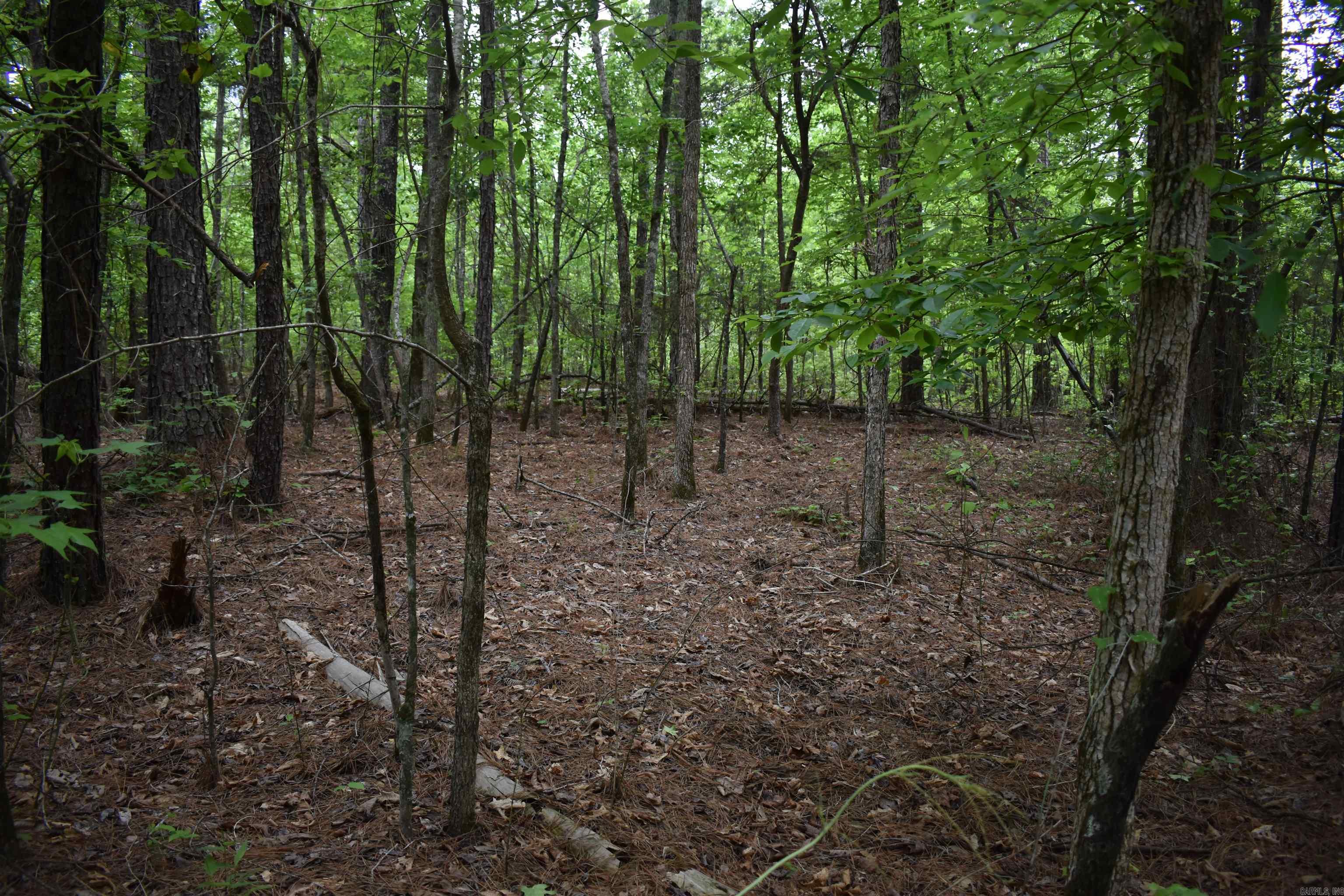 0000  Cantrell Road  Amity, AR