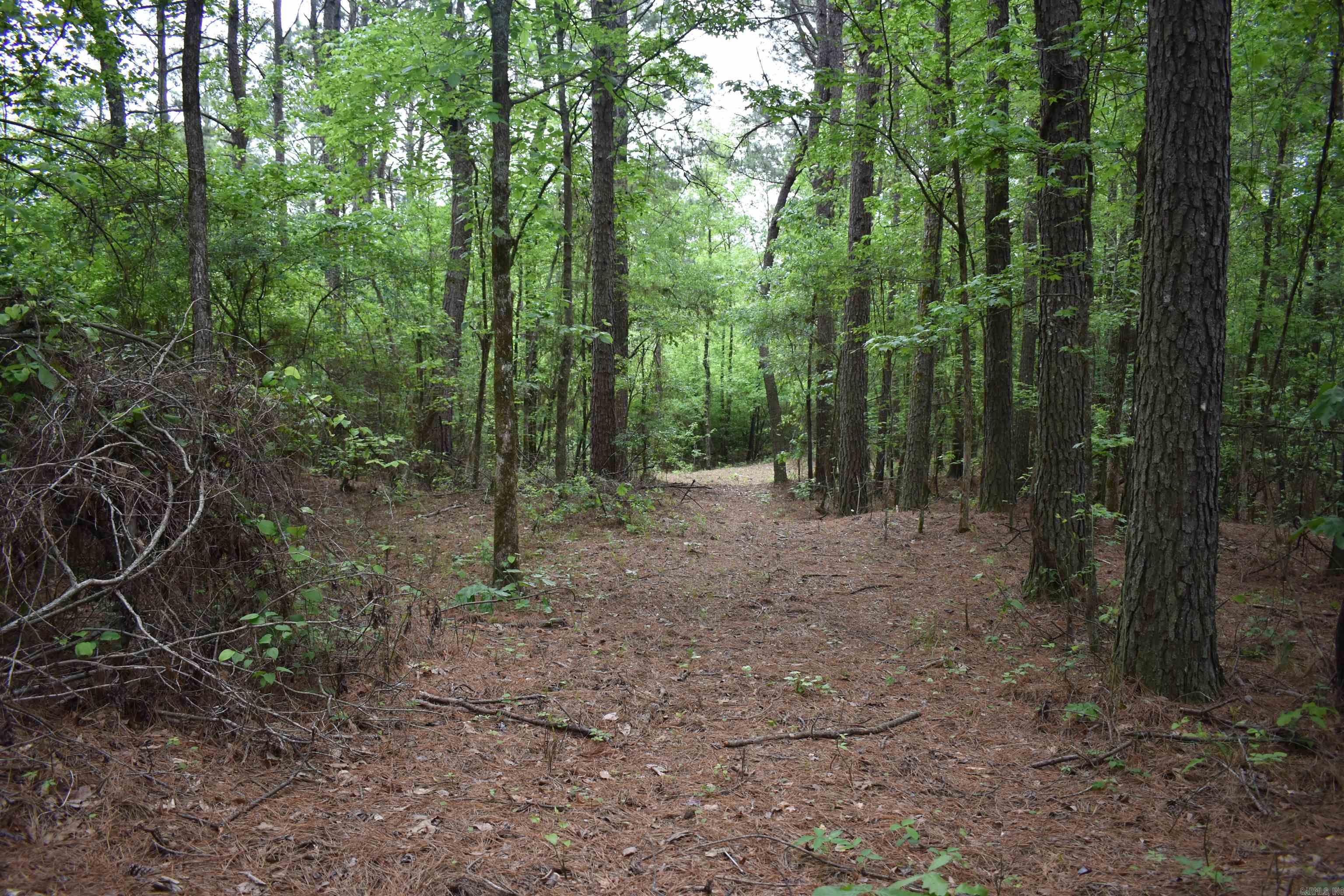 0000  Cantrell Road  Amity, AR