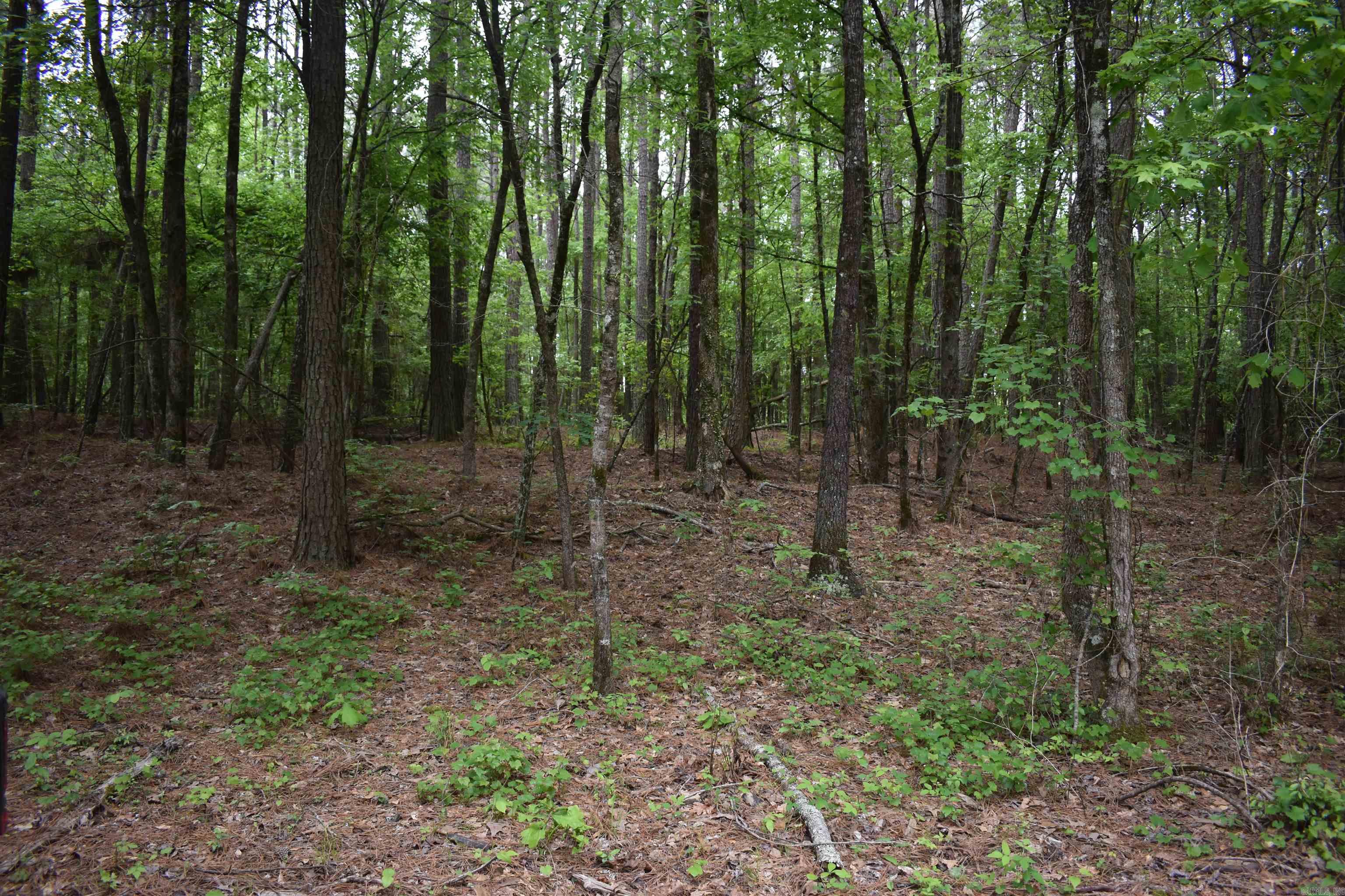 0000  Cantrell Road  Amity, AR