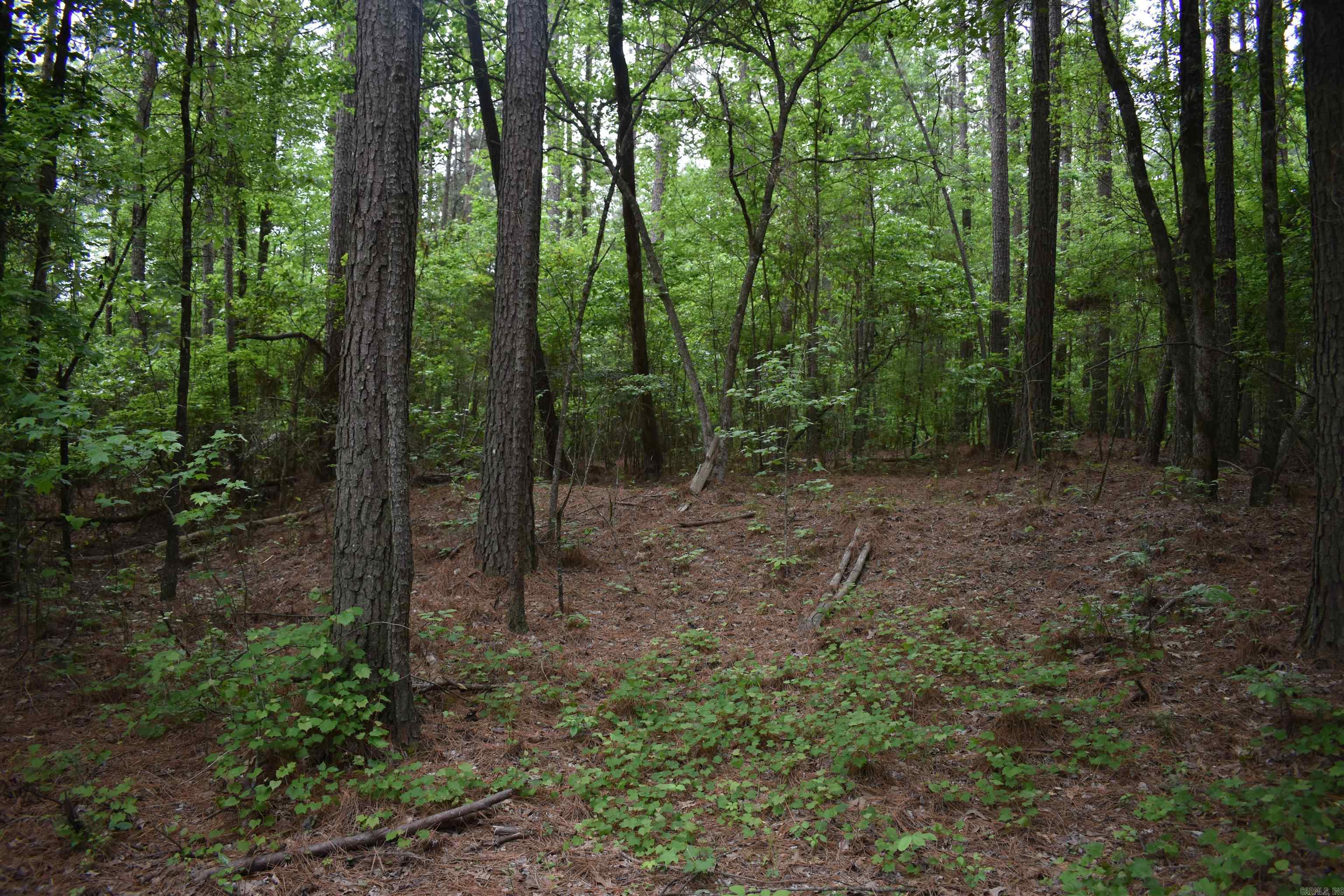 0000  Cantrell Road  Amity, AR
