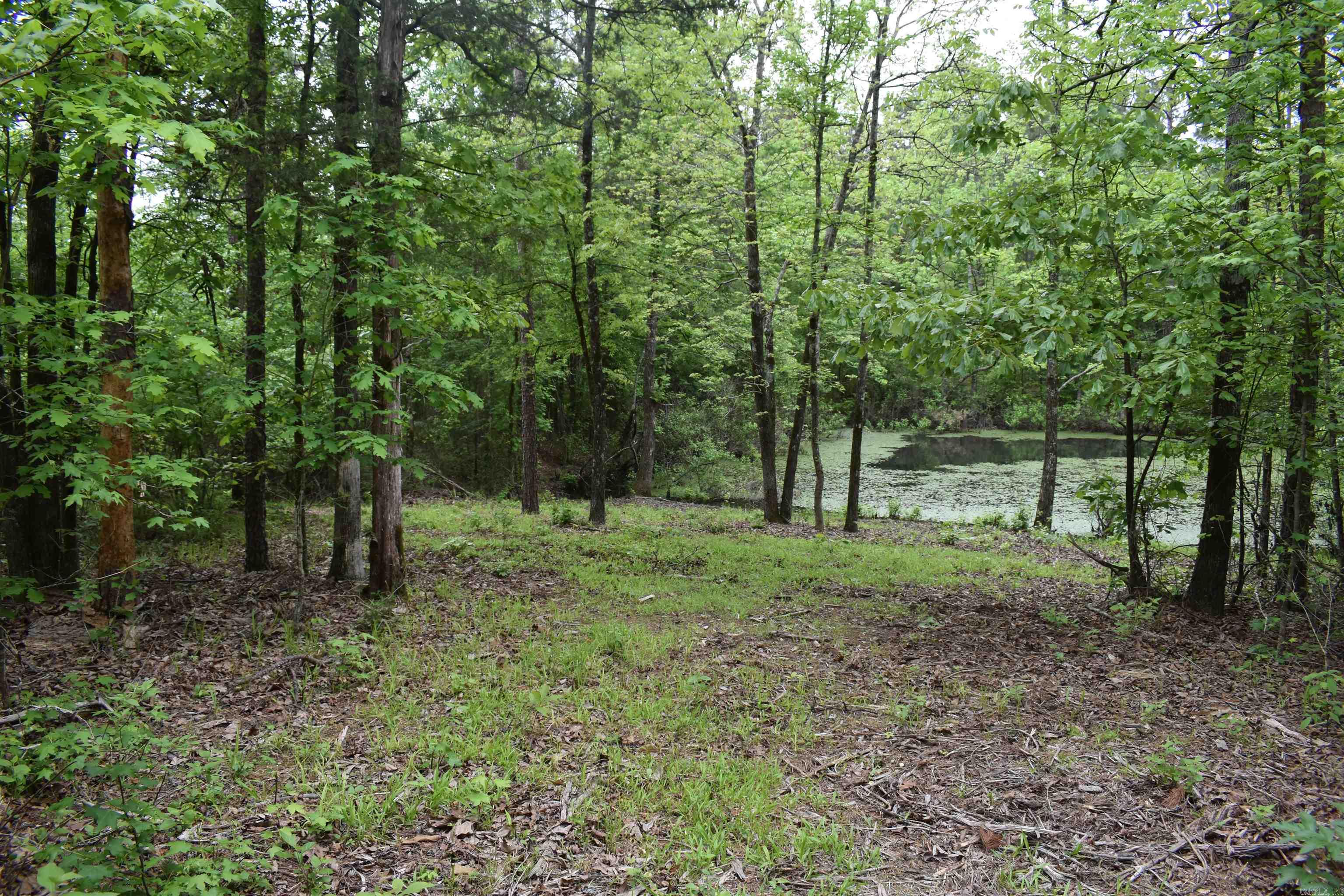 0000  Cantrell Road  Amity, AR