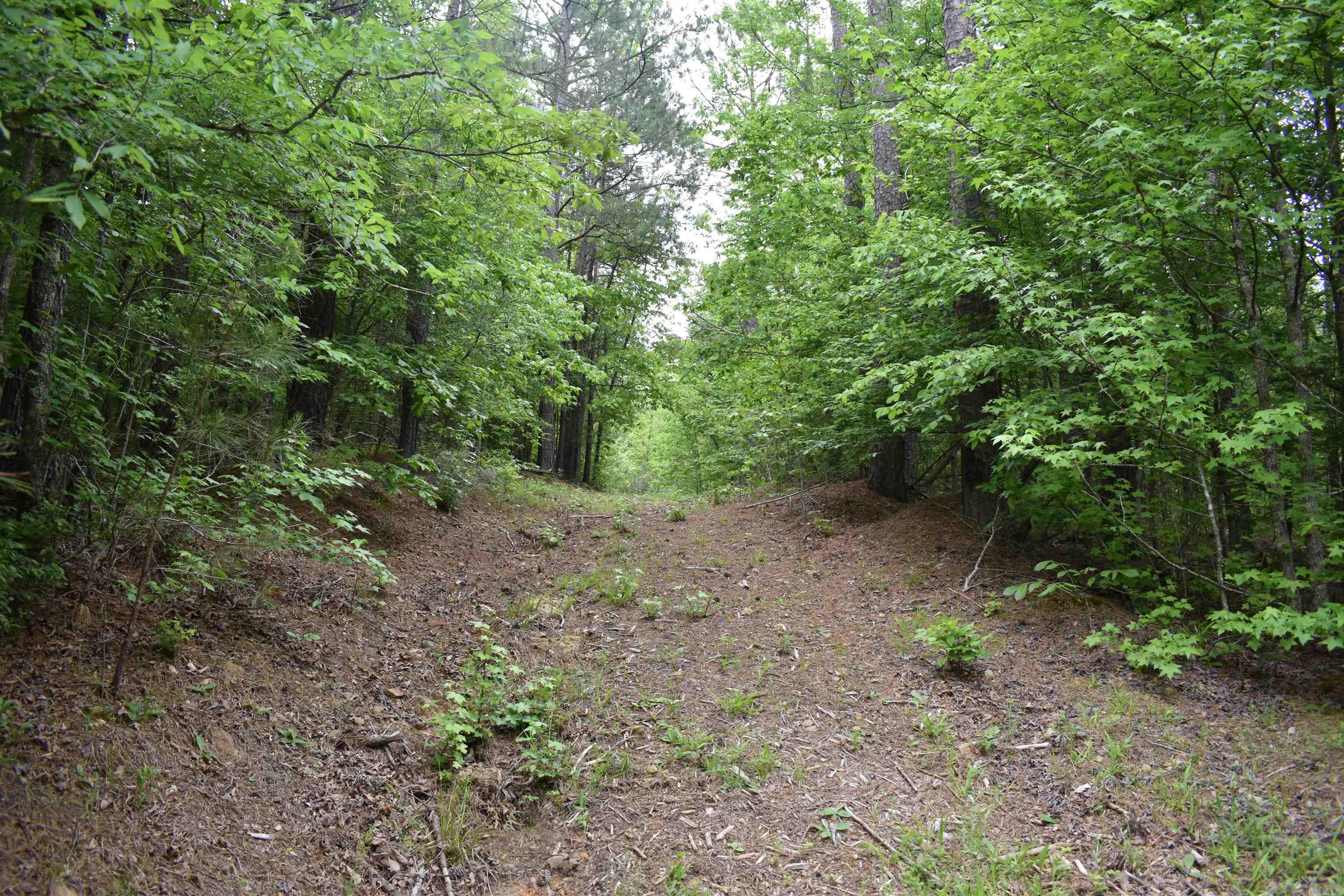0000  Cantrell Road  Amity, AR