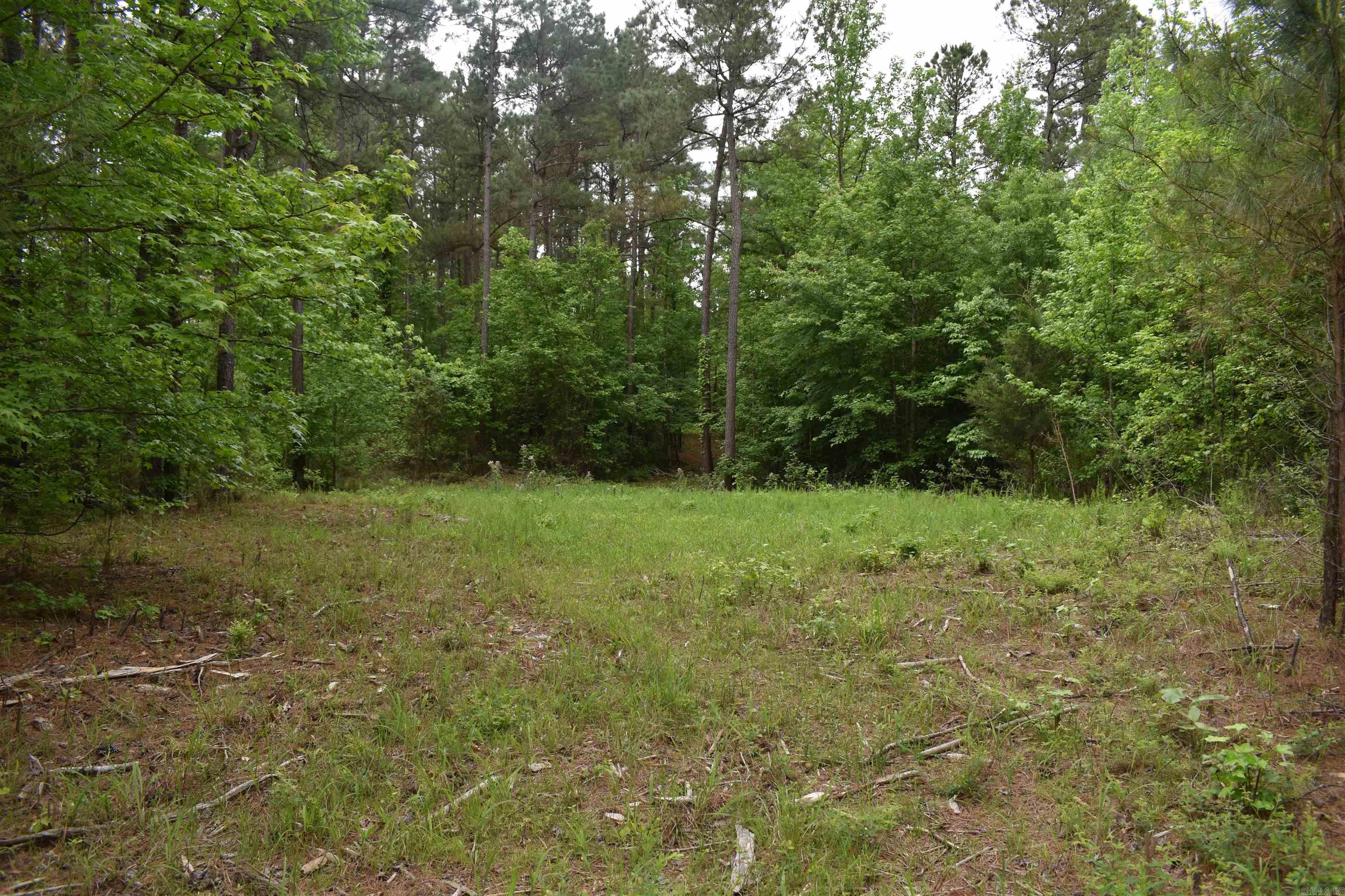 0000  Cantrell Road  Amity, AR