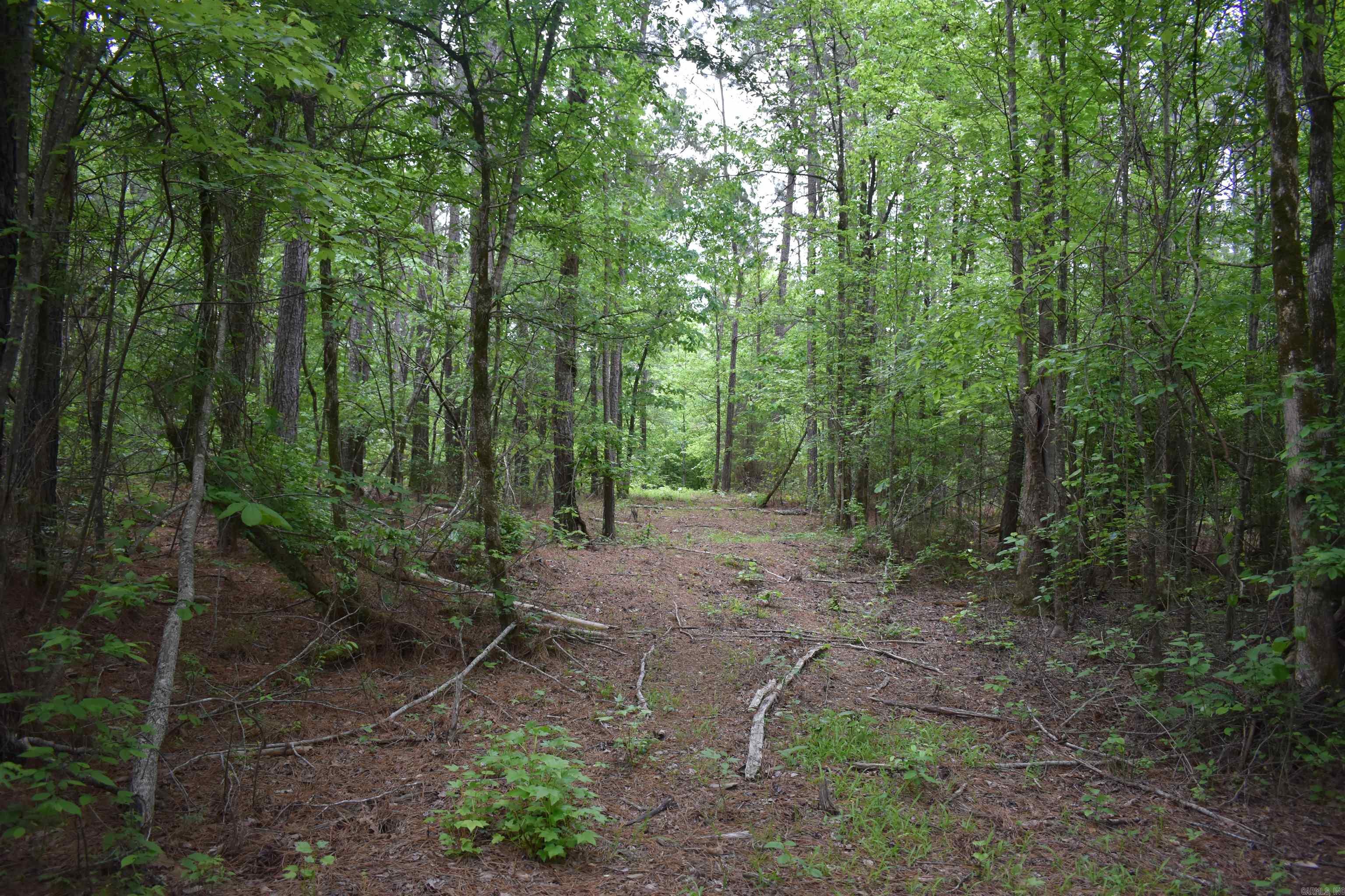 0000  Cantrell Road  Amity, AR