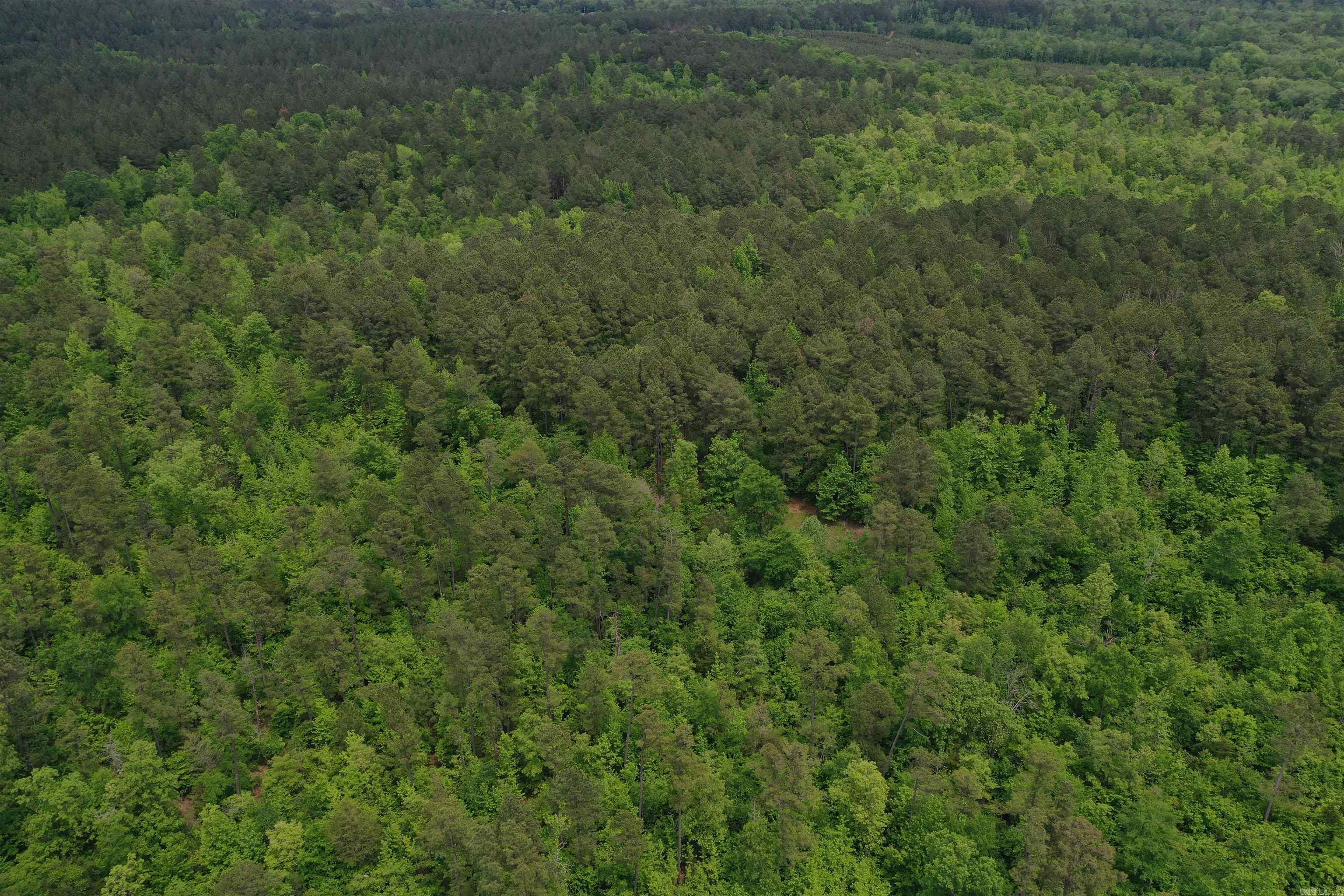 0000  Cantrell Road  Amity, AR