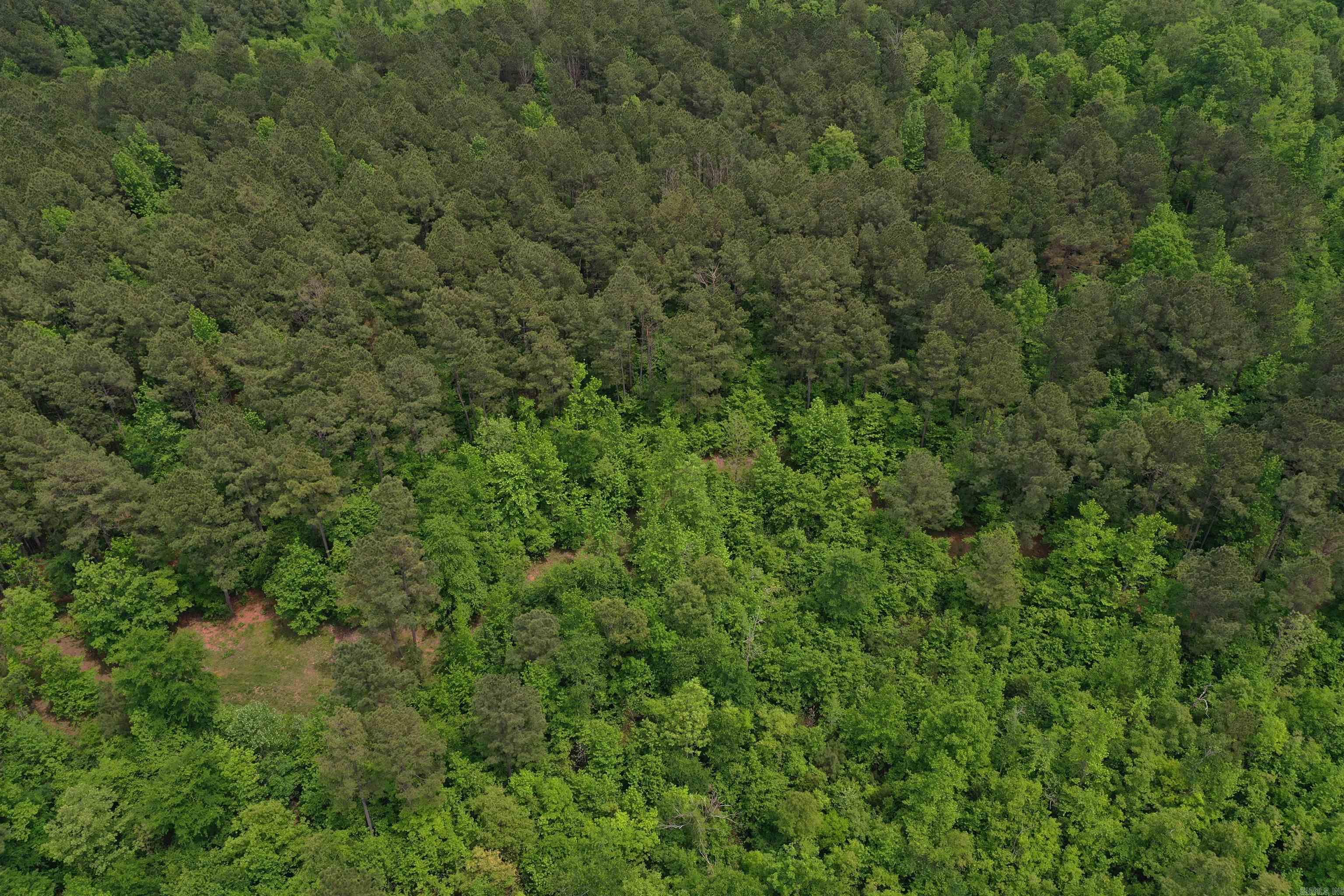 0000  Cantrell Road  Amity, AR