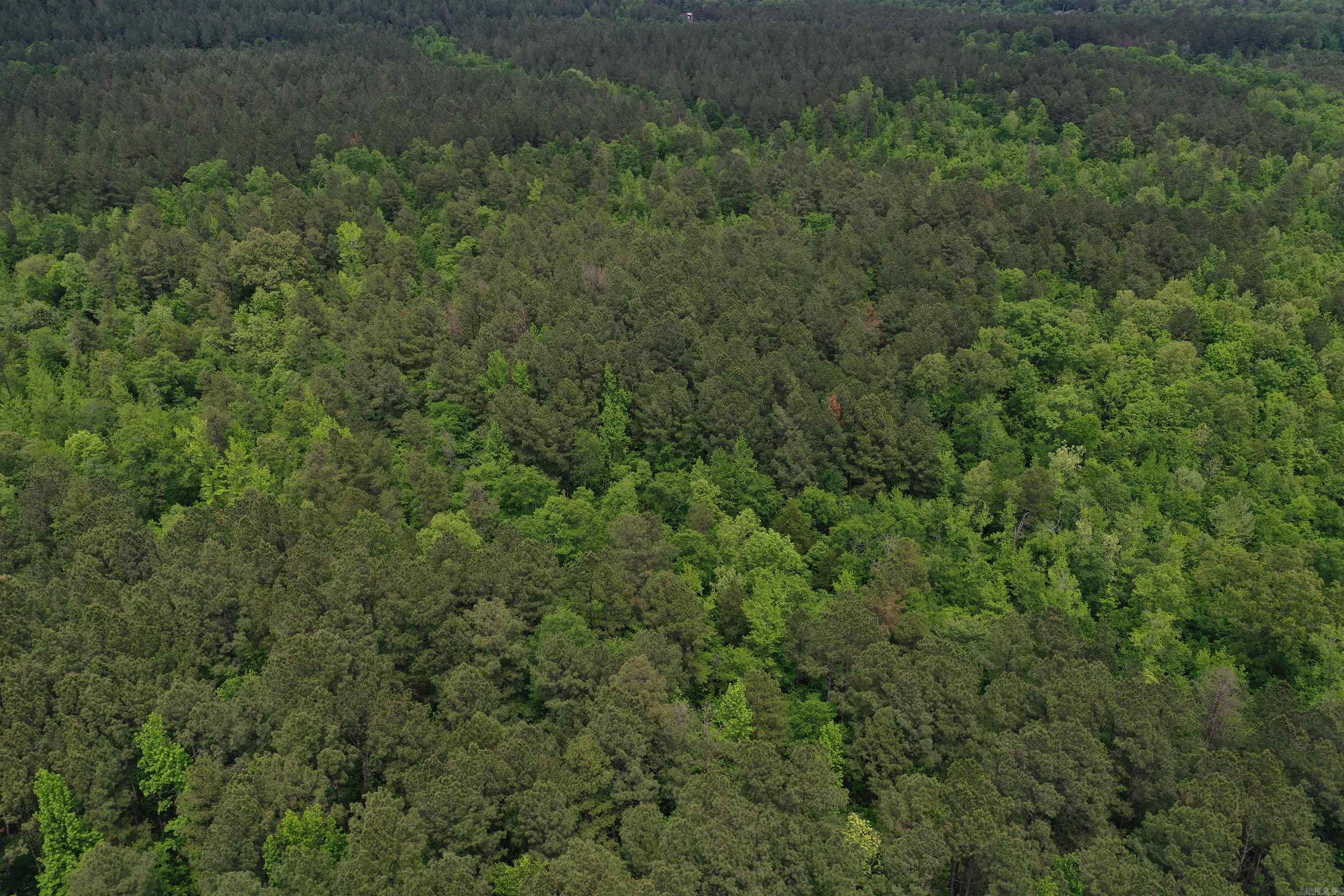 0000  Cantrell Road  Amity, AR