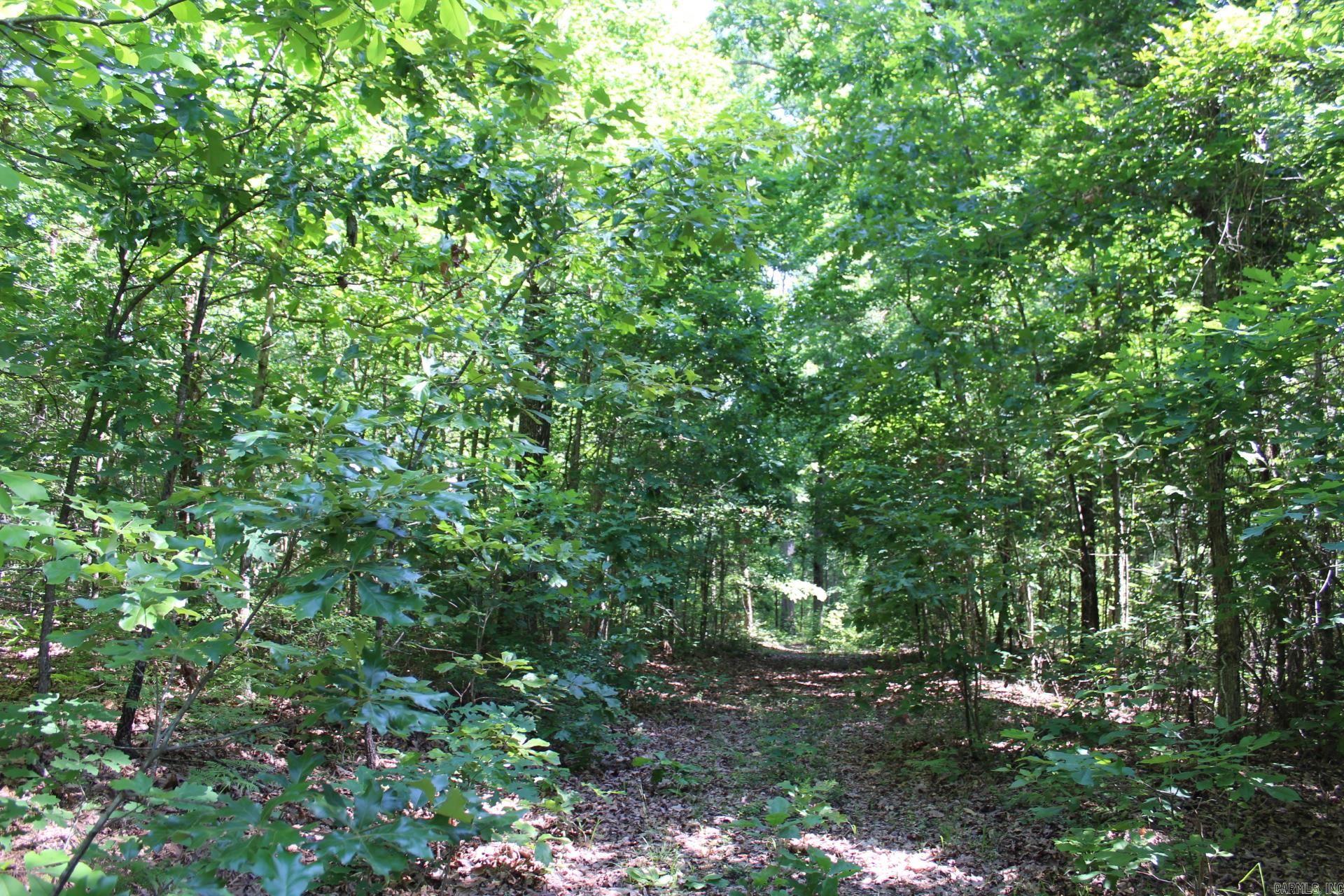   Coulter Lane  Nashville, AR