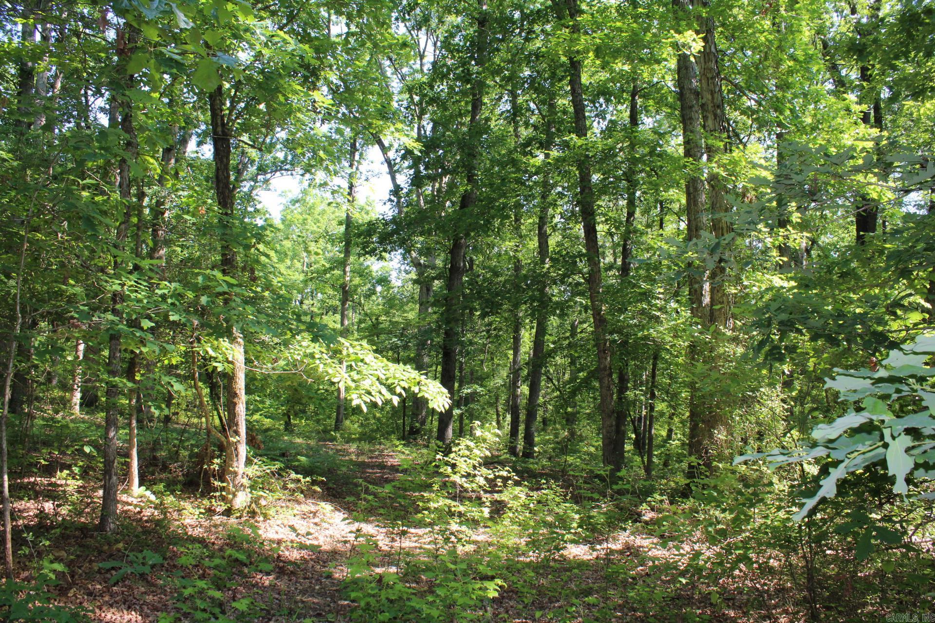   Coulter Lane  Nashville, AR