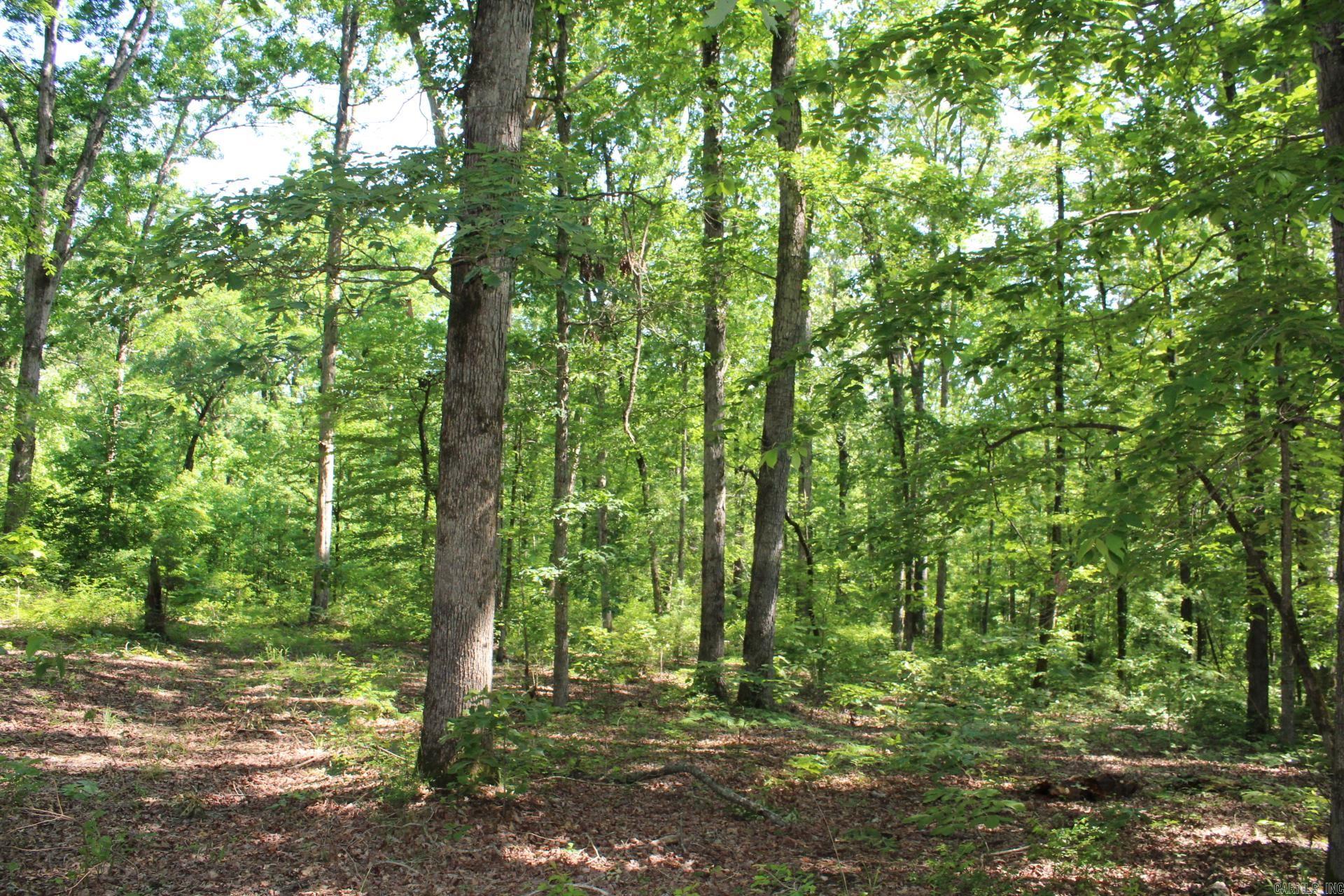   Coulter Lane  Nashville, AR