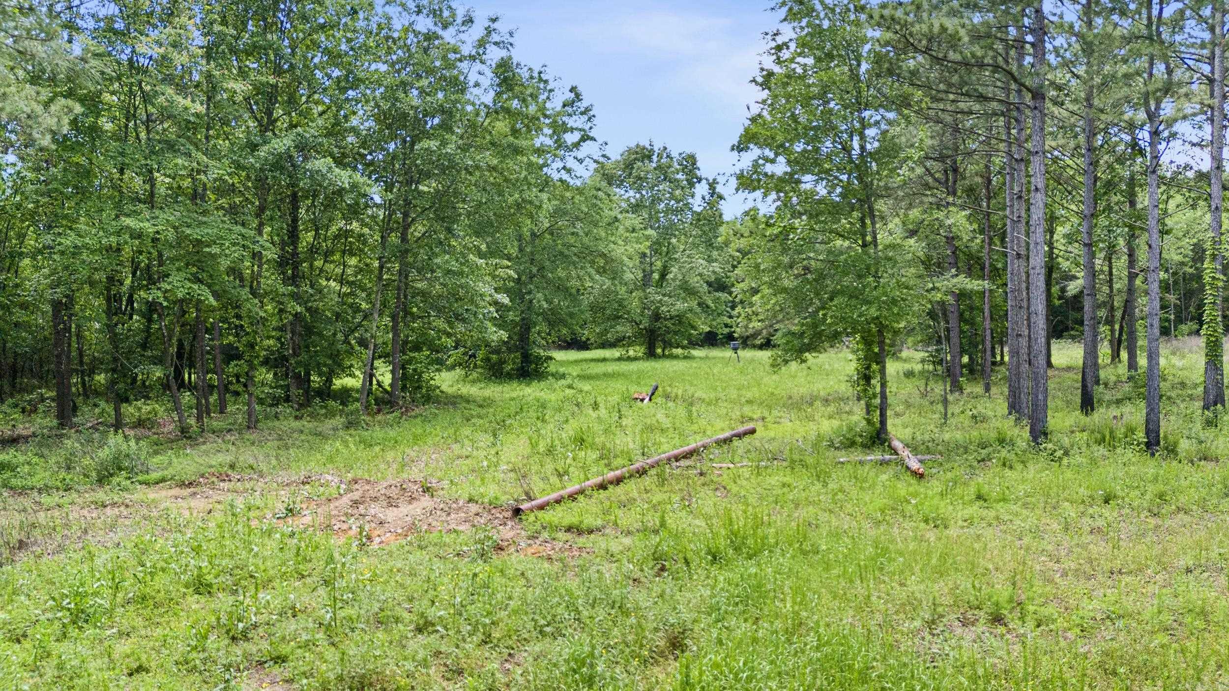 11905 E Old Bellville  Bellville, AR