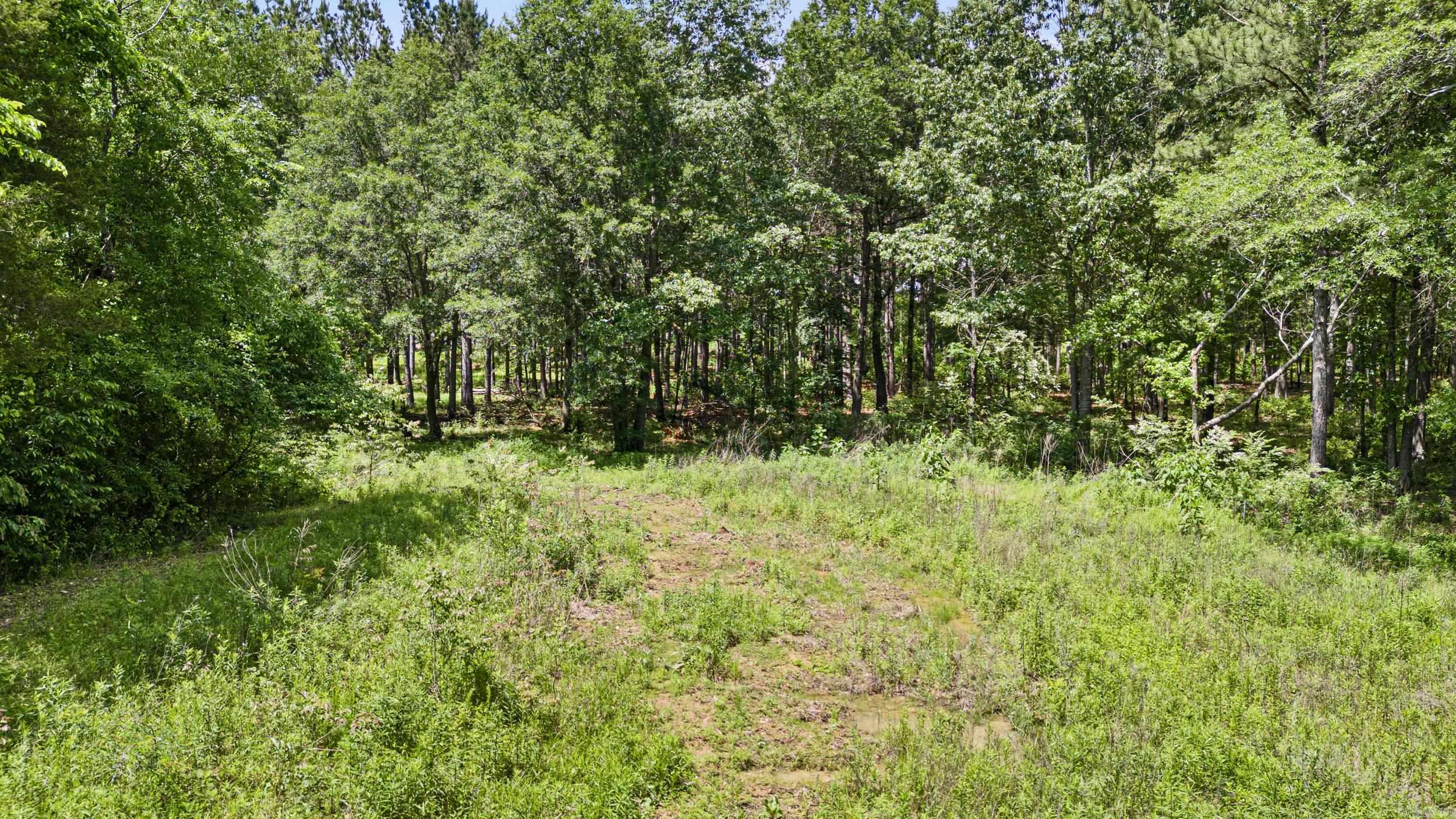 11905 E Old Bellville  Bellville, AR