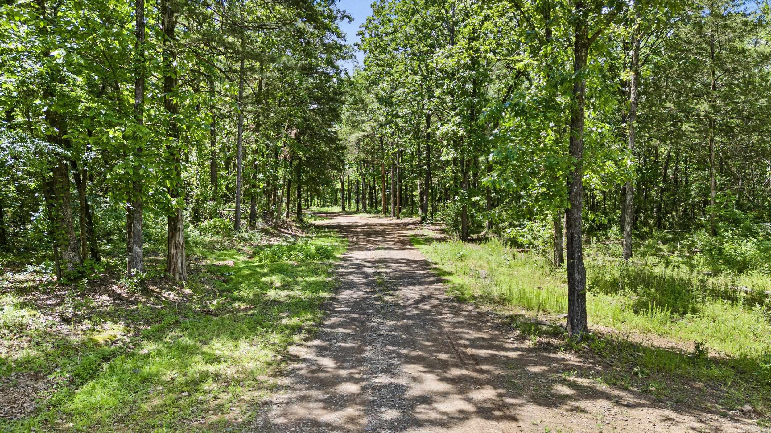 11905 E Old Bellville  Bellville, AR