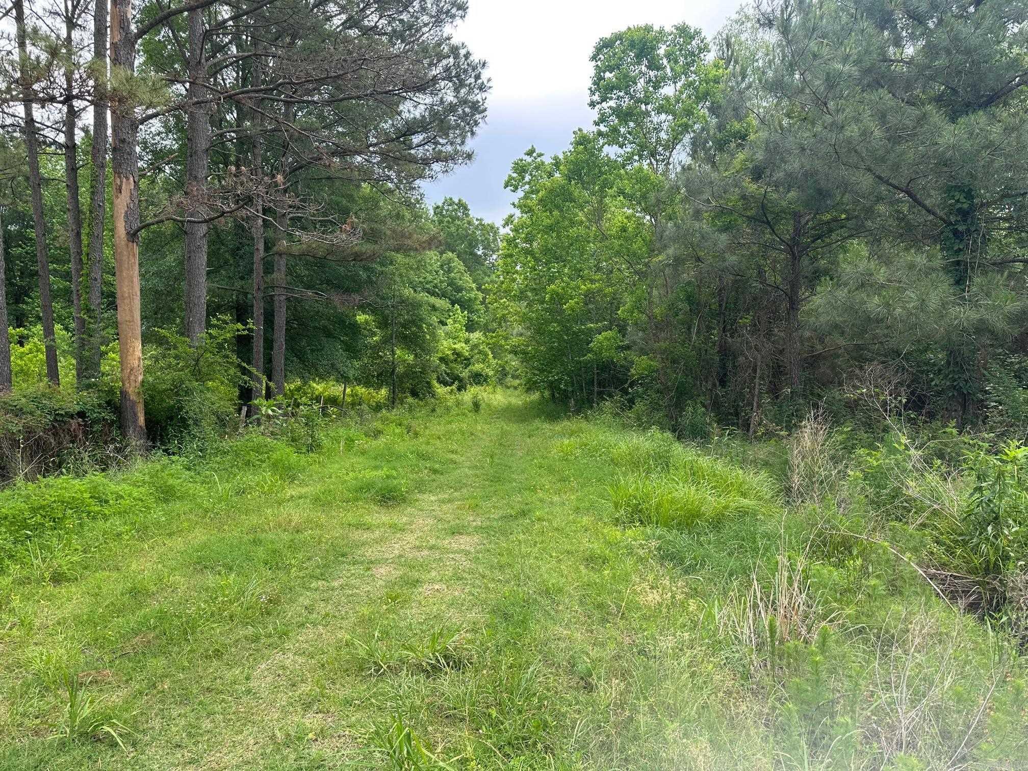   ashley rd 482  Fountain Hill, AR